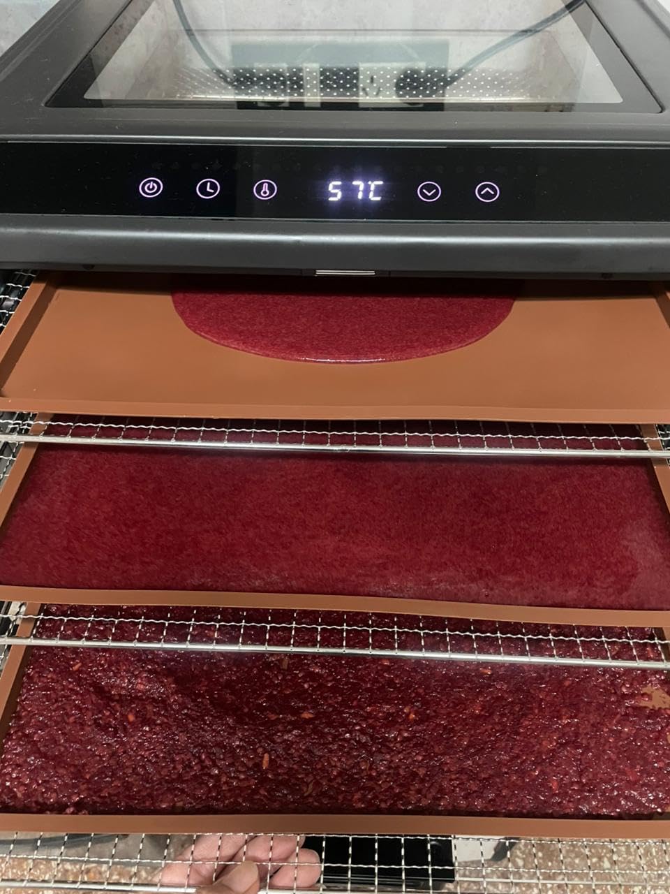 Excalibur Electric Food Dehydrator Performance Series 10-Tray with Adjustable Temperature Control Includes Stainless Steel Drying Trays Glass Door Top View Window and LED Display Progress Bar, Black customer photo 1