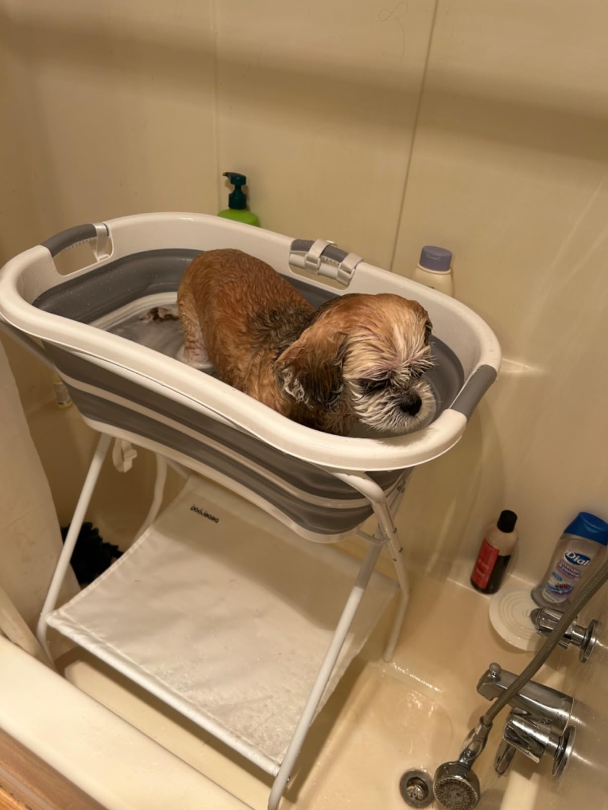 Beberoad 2 in 1 Dog Bath Tub Dog Washing Station for Bathing and Grooming, Elevated Collapsible Foldable Portable Shower Bathtub for Small Dogs Cats Pet, Indoor and Outdoor customer photo 2