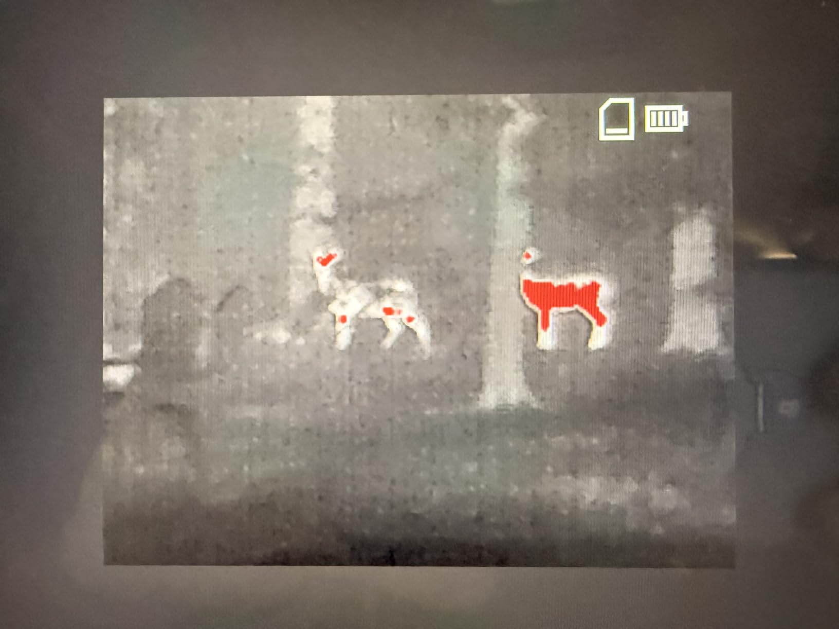MiLESEEY Thermal Monocular T-Recon Scout, TNV10 Aircraft Mg-Al Alloy Thermal Monocular, Handheld Thermal Imaging, Night Vision Imager customer photo 1