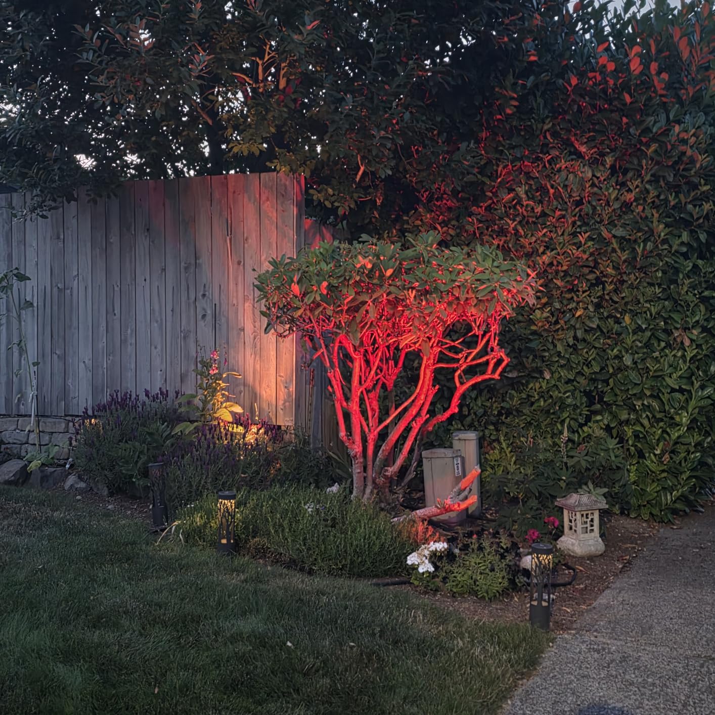 SUNVIE RGBW Landscape Lighting Kit with 300W Transformer, Waterproof, 12PCS | 12-24V LED Low Voltage Landscape Lights, Aluminum Landscape Spotlights Color Changing for Christmas House Yard Tree Garden customer photo 1