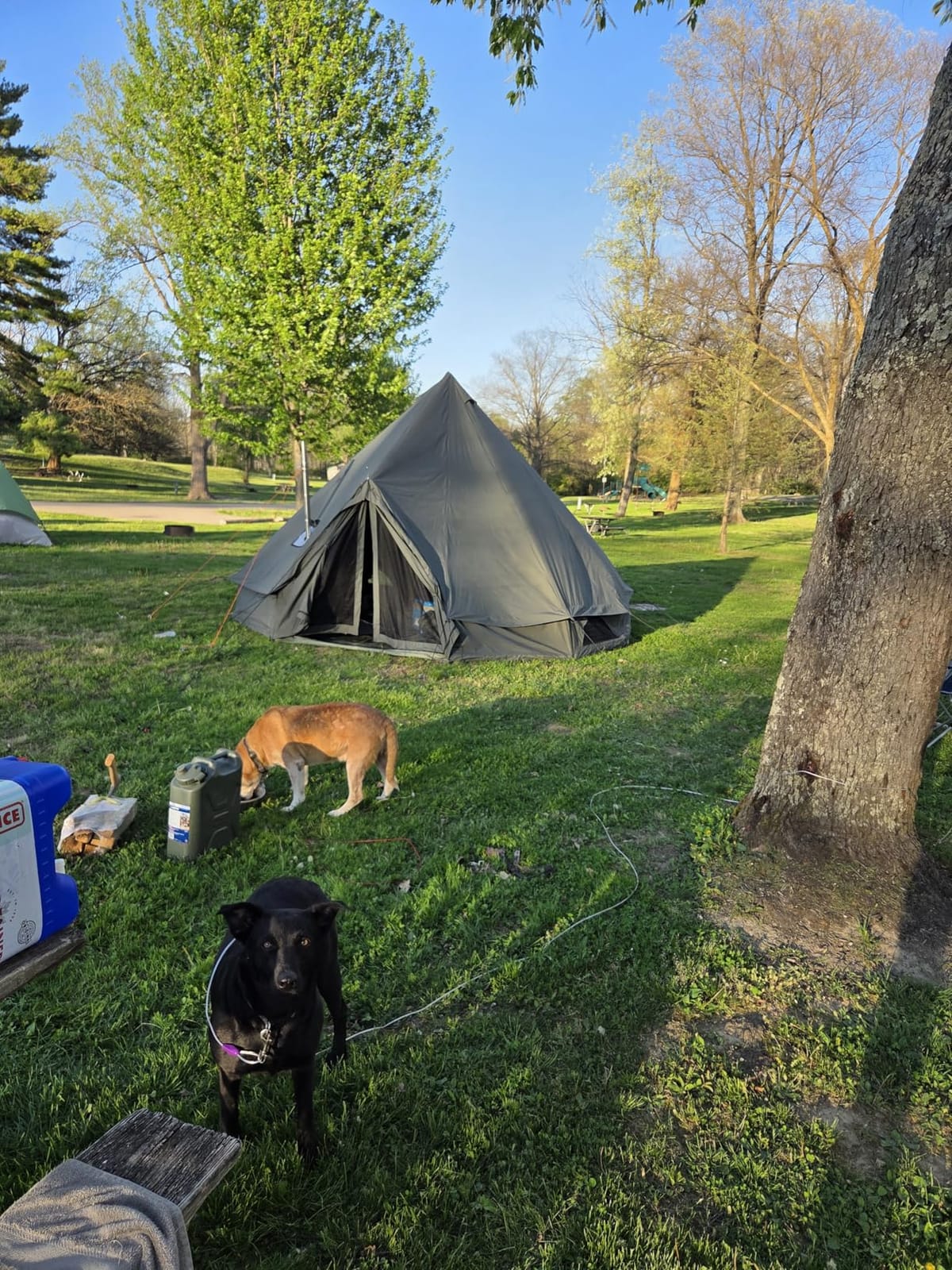 10/13/16/20ft Canvas Bell Tent with Stove Jack & Removable Floor customer photo 1