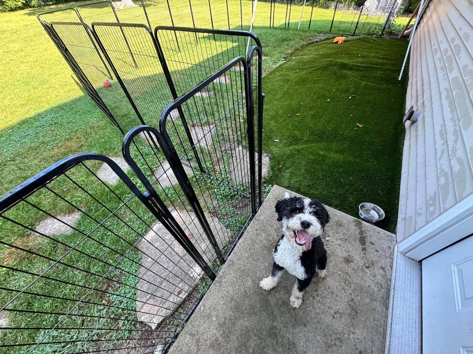 Getlay 48 in(H) Decorative Garden Fence with Gate,8 Panels Total 17.7 Ft(L) Heavy Duty Iron Animal Barrier Fence for Yard,Suitable for Indoor Pet Or Outdoor Dog Fencing, Garden Border Fence customer photo 1