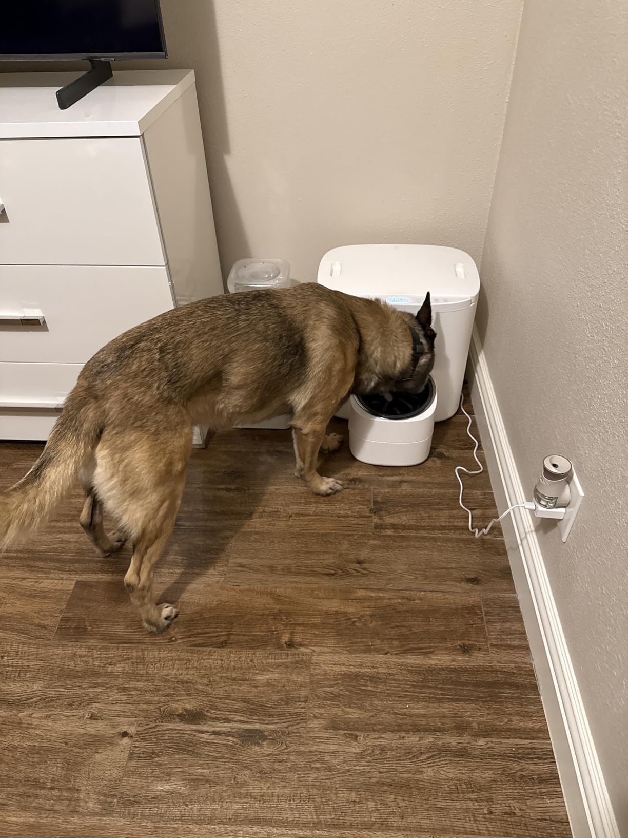 Dokoo Automatic Dog Feeder for Large Breeds, 15L/63 Cups Vacuum-Sealed Airtight Auto Pet Feeder for Dry Food, Timed Feeding, Anti-Clog Dispenser 2-22mm Kibble, Voice Recorder, Stainless Steel Bowl customer photo 2