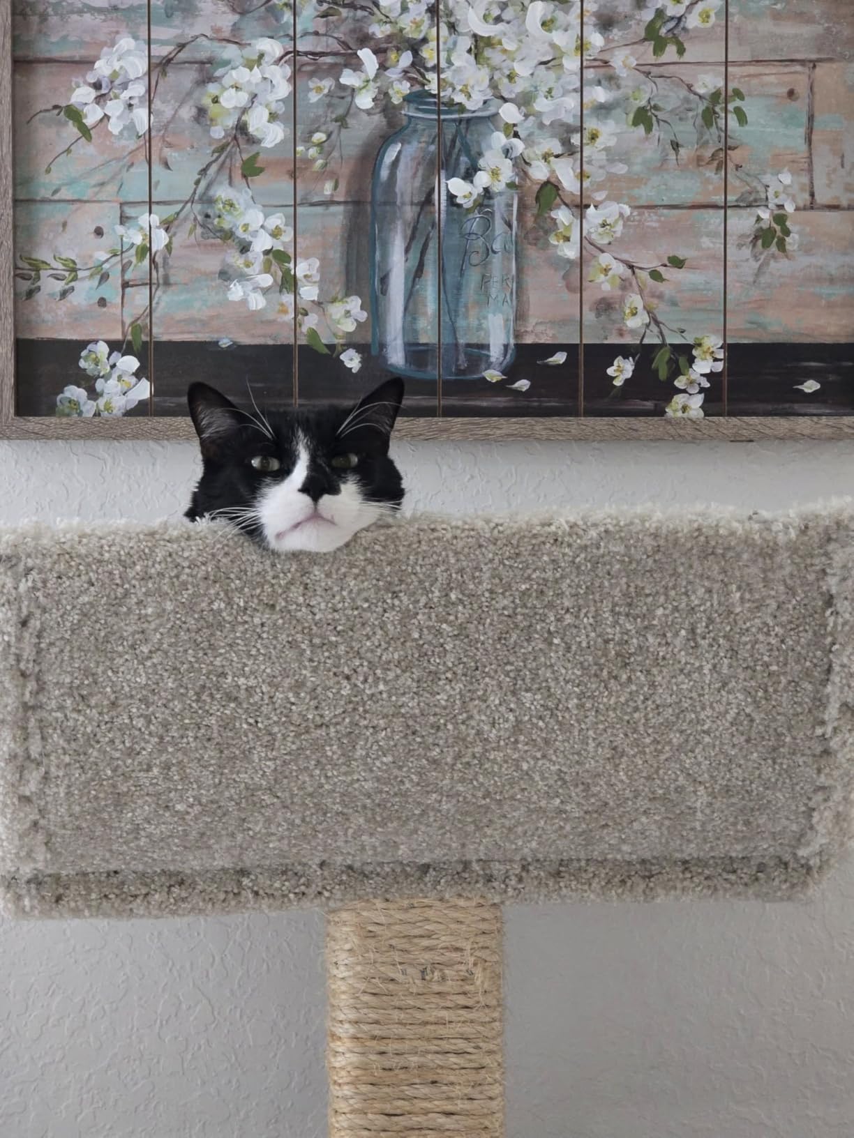 Prestige Cat Trees Extra Large Cat Tree Tower for Big Cats customer photo 2