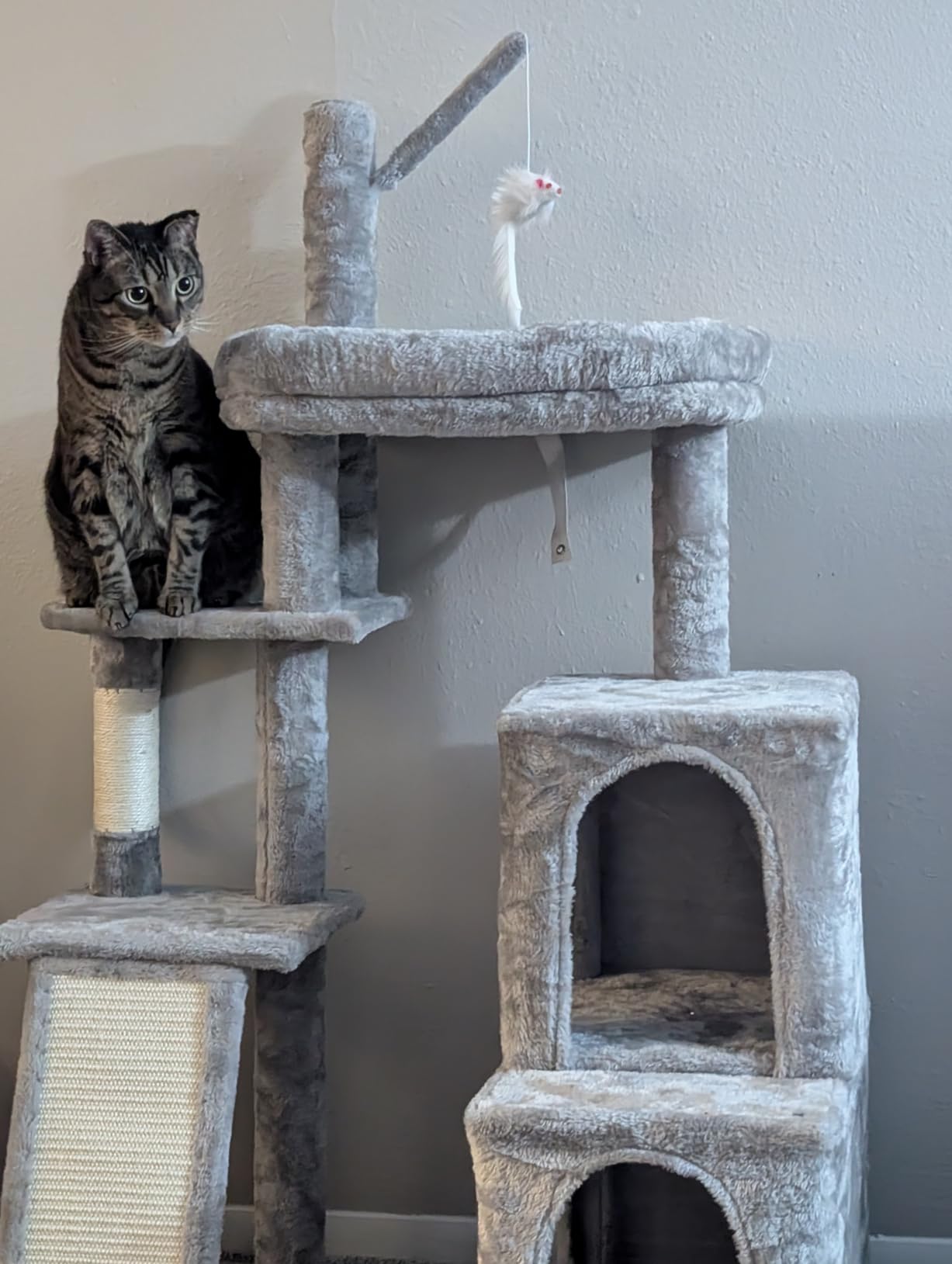 Globlazer Maine Coon Cat Tower for Indoor Adult Cats, F50, Light Grey customer photo 2