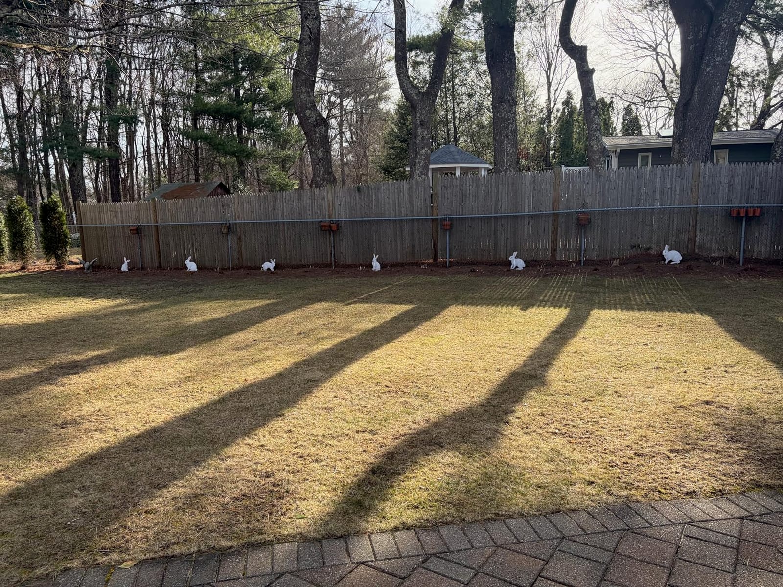 5 PCS 48 Inch Easter Yard Signs PP Safe Material Waterproof Outdoor Lawn Decorations with Stakes, Jumbo Funny Bunny and Egg Decor for Party Spring Garden Patio Holiday Display Supplies customer photo 1