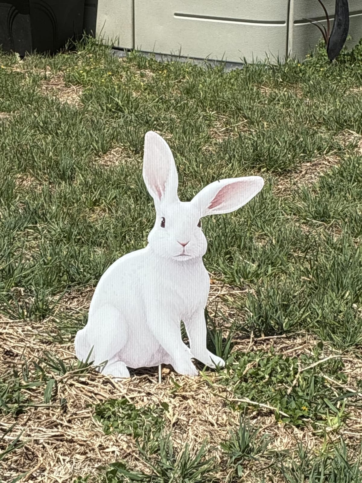5 PCS 48 Inch Easter Yard Signs PP Safe Material Waterproof Outdoor Lawn Decorations with Stakes, Jumbo Funny Bunny and Egg Decor for Party Spring Garden Patio Holiday Display Supplies customer photo 2