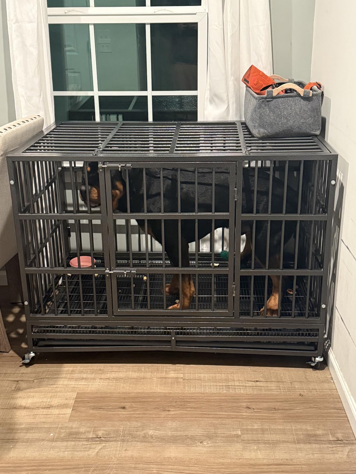KOKOTANGS 54 Inch Heavy Duty Dog Crate Cage with Wheels, Indestructible and Escape Proof Steel Kennel Indoor for High Anxiety Dogs with Sturdy Locks, Double Door and Tray, Extra Large XL XXL, Black customer photo 1