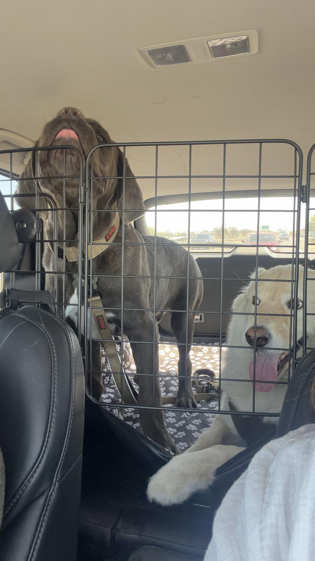 CASIMR Dog Car Barrier for SUVs, Vehicles, Trucks, Cars, Adjustable Pet Divider Cargo Area Universal-Fit, Heavy-Duty Wire Mesh Barriers, Safety Travel Accessories Cover, 61.9 Inch customer photo 1