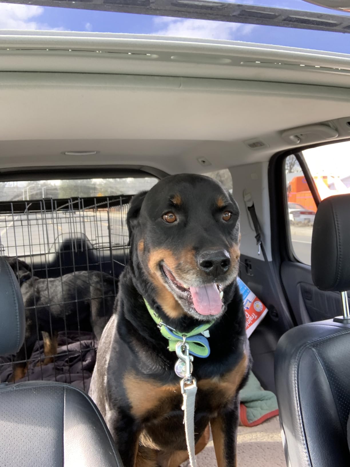 Dog Car Barrier for SUVs, Van, Vehicles, Adjustable Large Pet Barriers, Universal Fit Heavy-Duty Wire Mesh Dog Guard, Pet Divider Gate for Truck Cargo Area, Safety Car Divider, 61.9 Inches customer photo 2