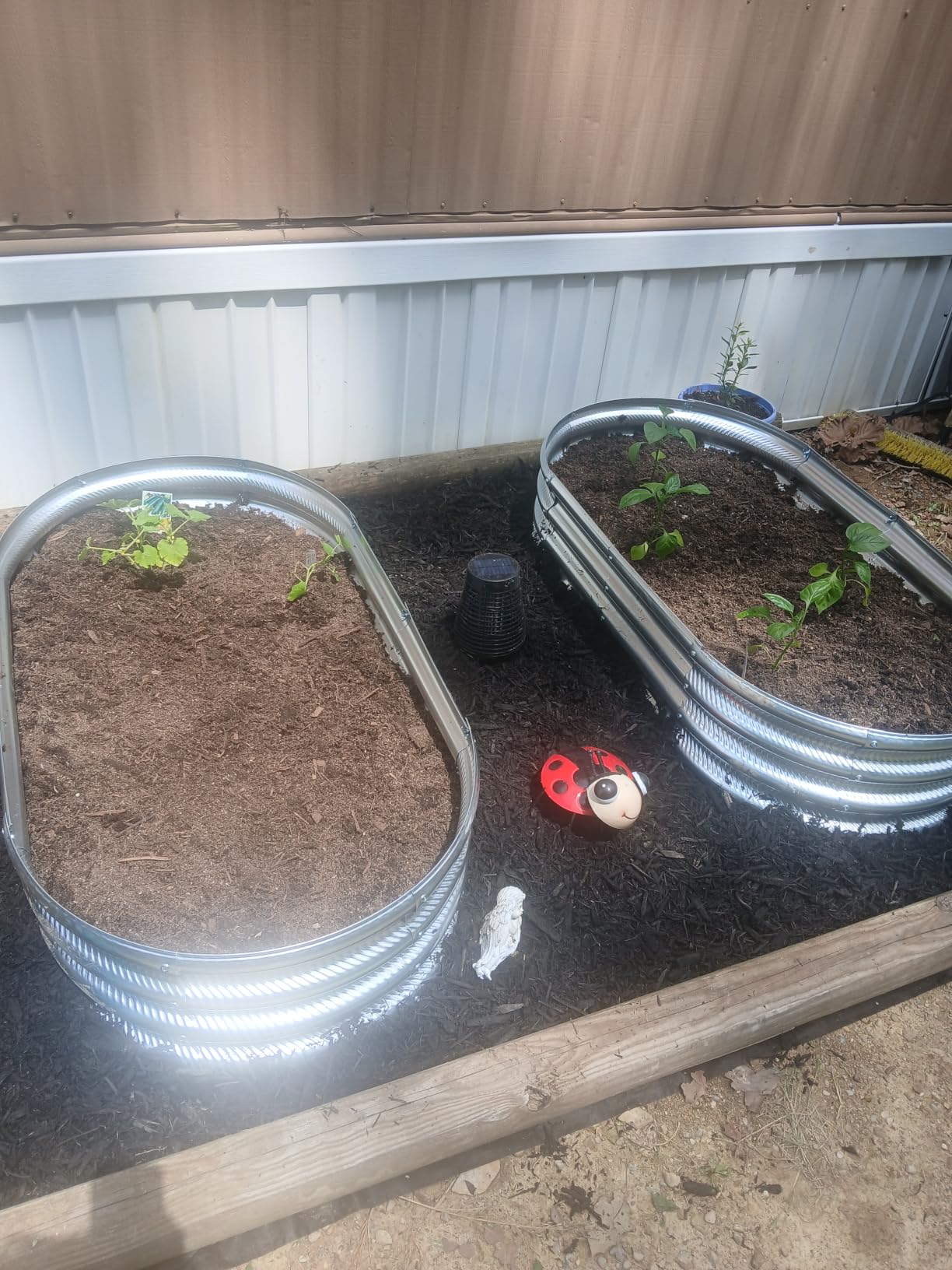 Gartist 2 pcs 4×2×1 ft Raised Garden Bed for Outdoor, Easy Assembly Galvanized Planter Box for Vegetables, Flowers & Herbs customer photo 1