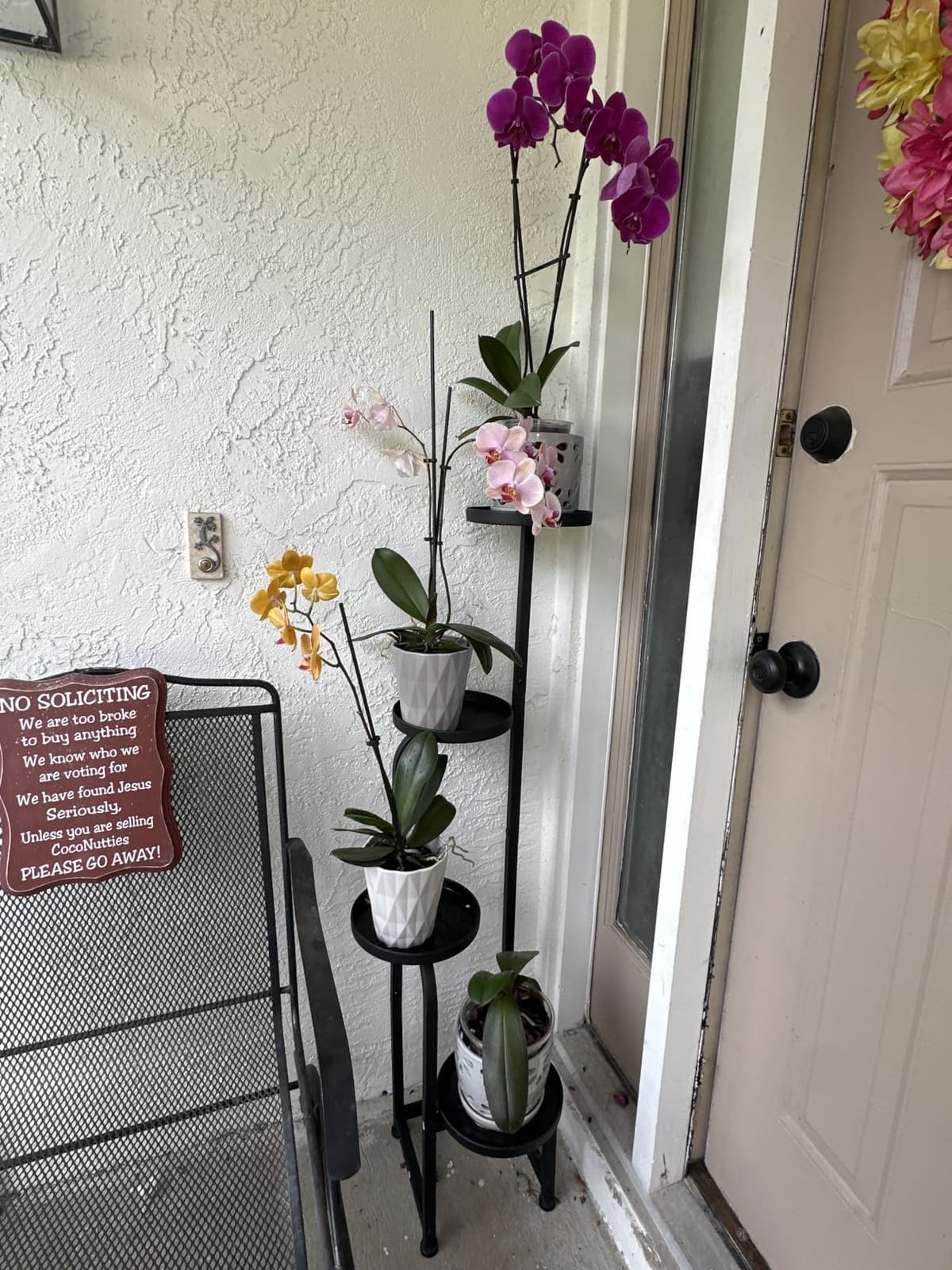 Bamworld Tall Plant Stand Indoor Outdoor Corner Metal Flower Pot Stands | 4 Tier Heavy Duty Plant Shelf for Multiple Plants Plant Table for Patio Garden Balcony Living Room Bedroom(Patent Design) customer photo 1