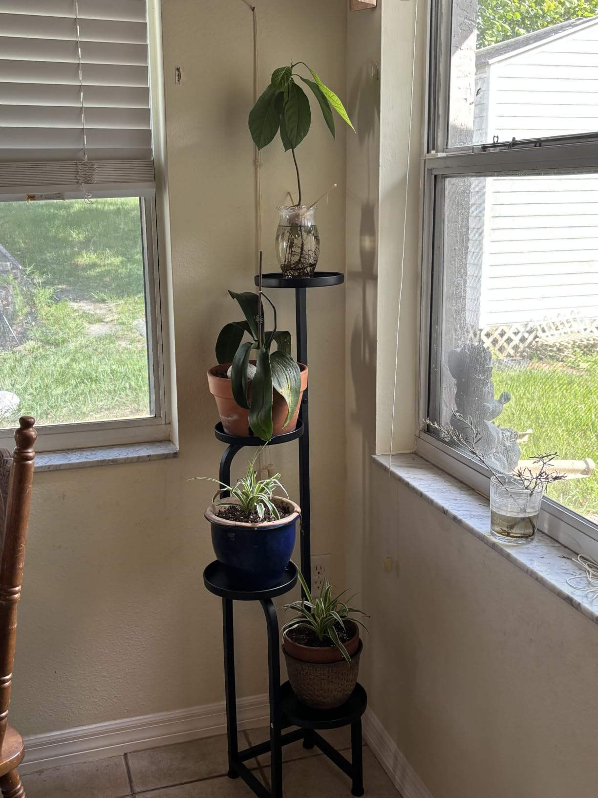 Bamworld Tall Plant Stand Indoor Outdoor Corner Metal Flower Pot Stands | 4 Tier Heavy Duty Plant Shelf for Multiple Plants Plant Table for Patio Garden Balcony Living Room Bedroom(Patent Design) customer photo 2