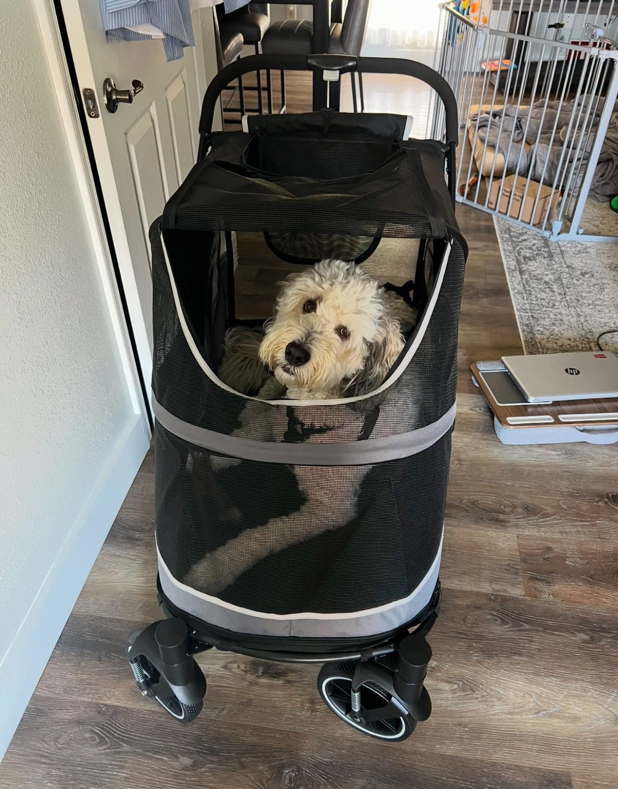 Dog Stroller for Medium/Large Dogs One-Click Folding, Extra Large Pet Stroller for 2 Dogs with Storage Pocket & Shock Absorption, Up to 130 lbs, Grey customer photo 2