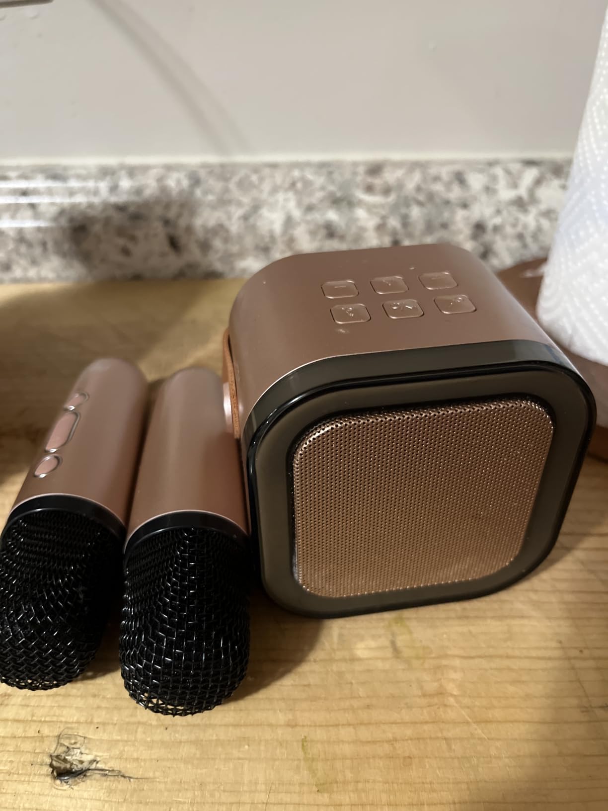 Karaoke Machine Kids Adults,Bluetooth Speaker with 2 Wireless Microphones customer photo 1