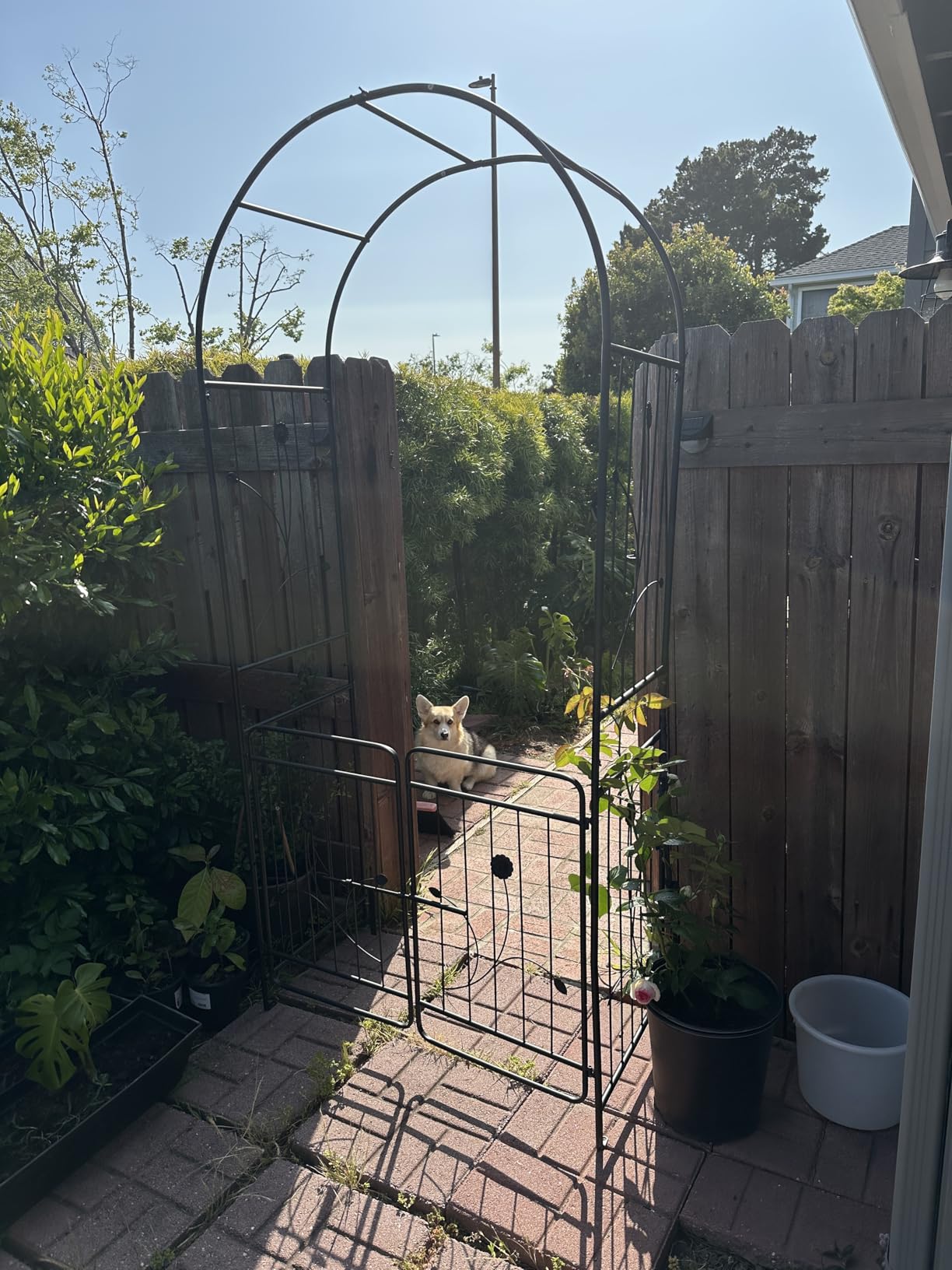 S AFSTAR 87-Inche Garden Arbor with Gate & Side Planter Box, Metal Garden Arch with Lockable Gate, Arched Top Arbour, Heavy-Duty Arched Trellis Archway for Climbing Plants Grape Vines Wedding Ceremony customer photo 1