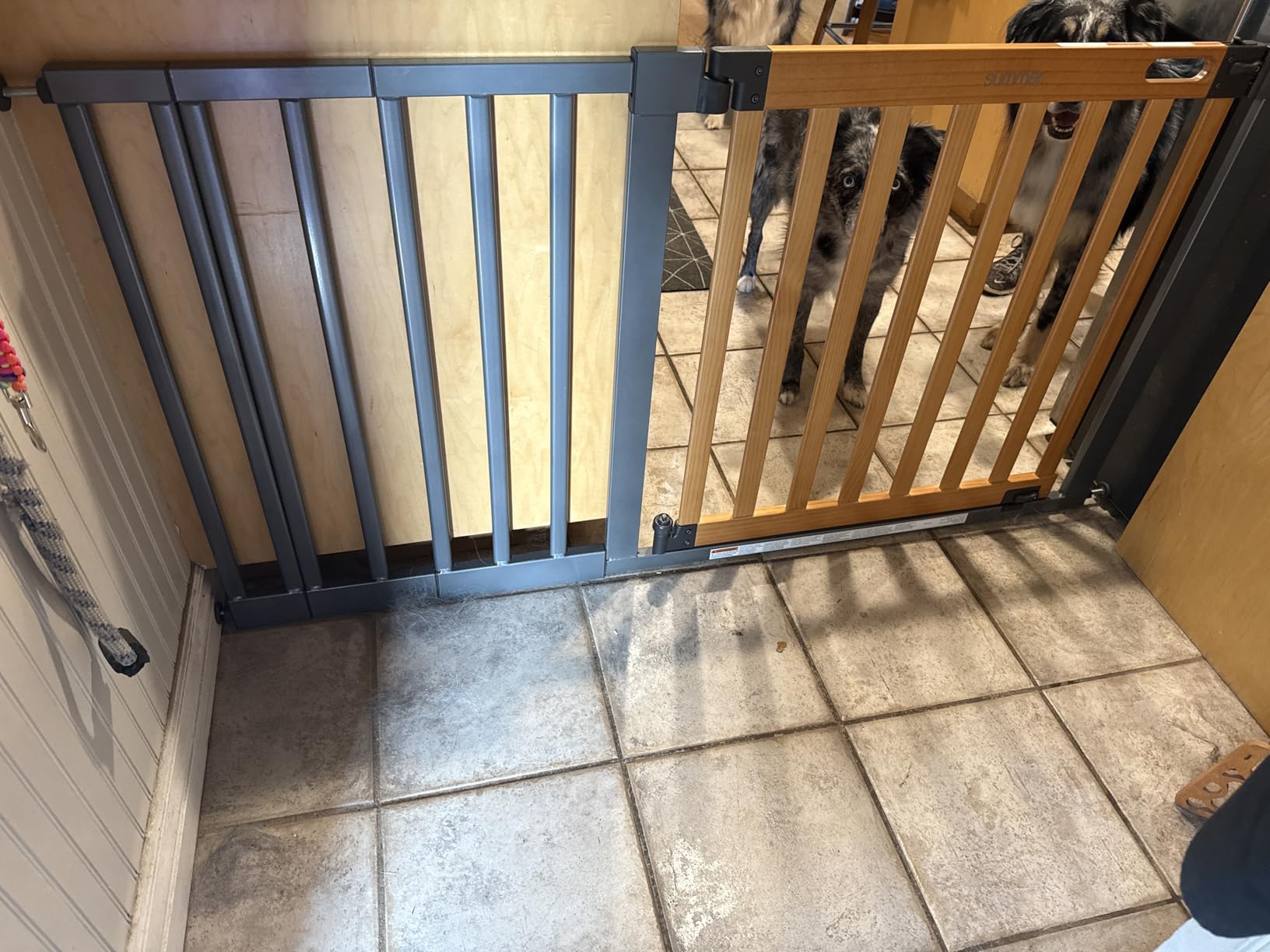 Ingenuity Ingenuity Thruway 60XW Series Extra Wide Safety Pet&Baby Gate,30