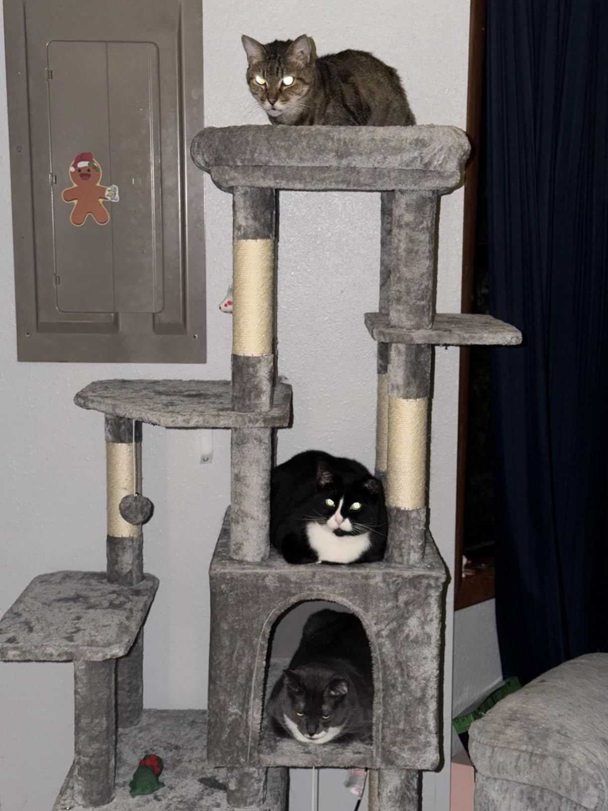 Globlazer Heavy Duty Cat Trees for Big Cats Maine Coon, F61, Light Grey customer photo 2