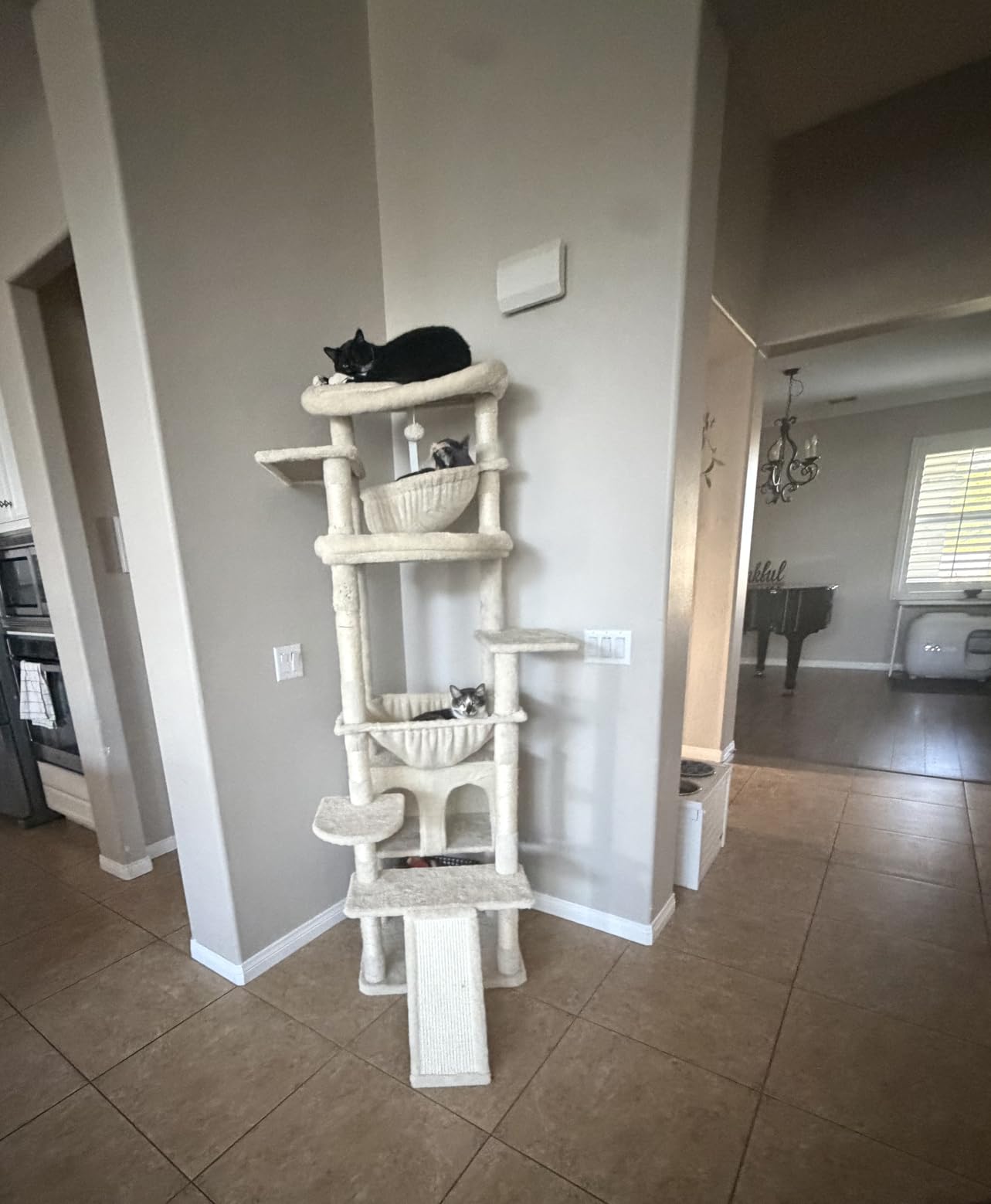 Heybly Cat Tree, 71-Inch-Tall Tower for Indoor Cats with 2 Perches HCT034G customer photo 2