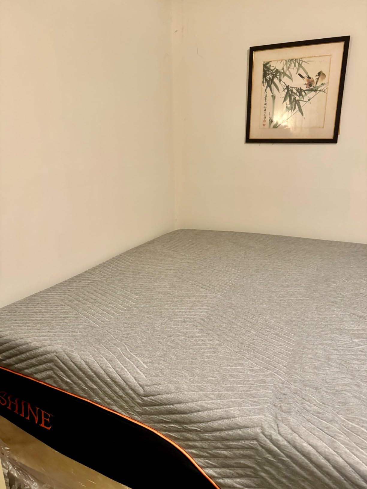 ESHINE Queen Mattress for Back Pain & Pressure Relief, 14” Gel Memory Foam customer photo 1