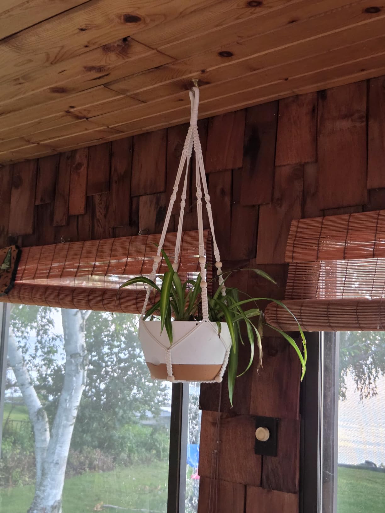 Set of 2-10 Inch Hanging Planters for Indoor Plants with Self-Watering Includes Hanging Pots for Plants, Outdoor Hanging Plant Pot with Drainage, and 2 Types of Hanging Baskets Hangers (White, 10inch) customer photo 2