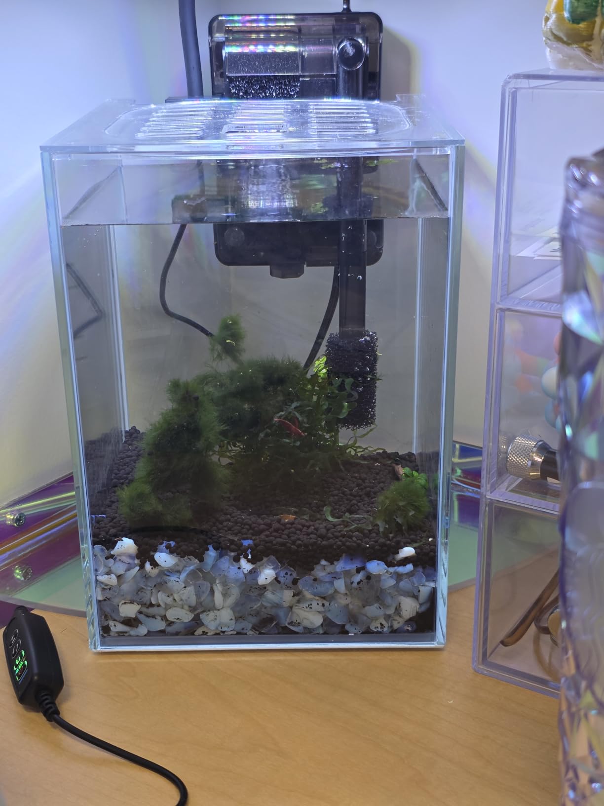 Glass Betta Aquarium Starter Kits 1.5 Gallon Small Fish Tank, Betta Fish Tank with LED Light, Power Filter, Black. 4mm Glass customer photo 1