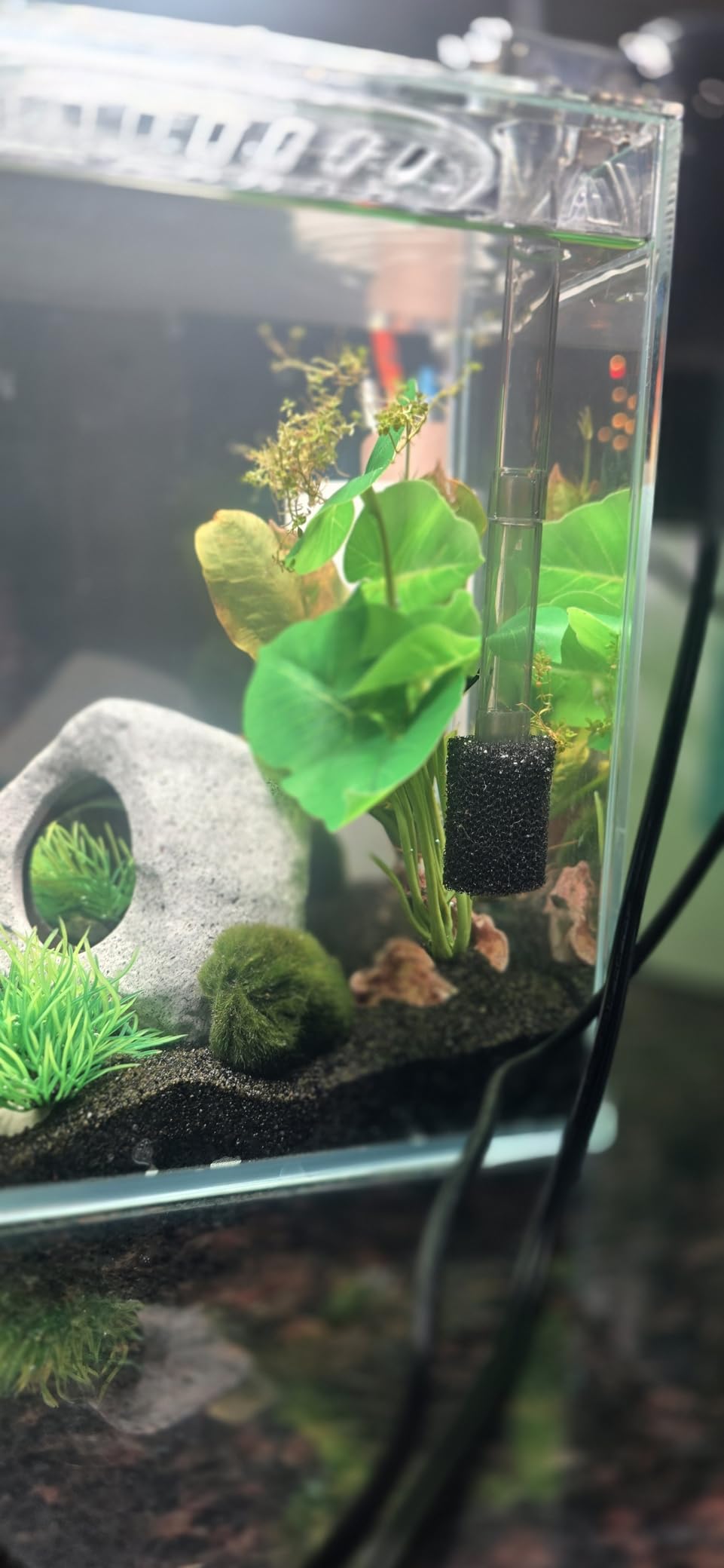 Glass Betta Aquarium Starter Kits 1.5 Gallon Small Fish Tank, Betta Fish Tank with LED Light, Power Filter, Black. 4mm Glass customer photo 2