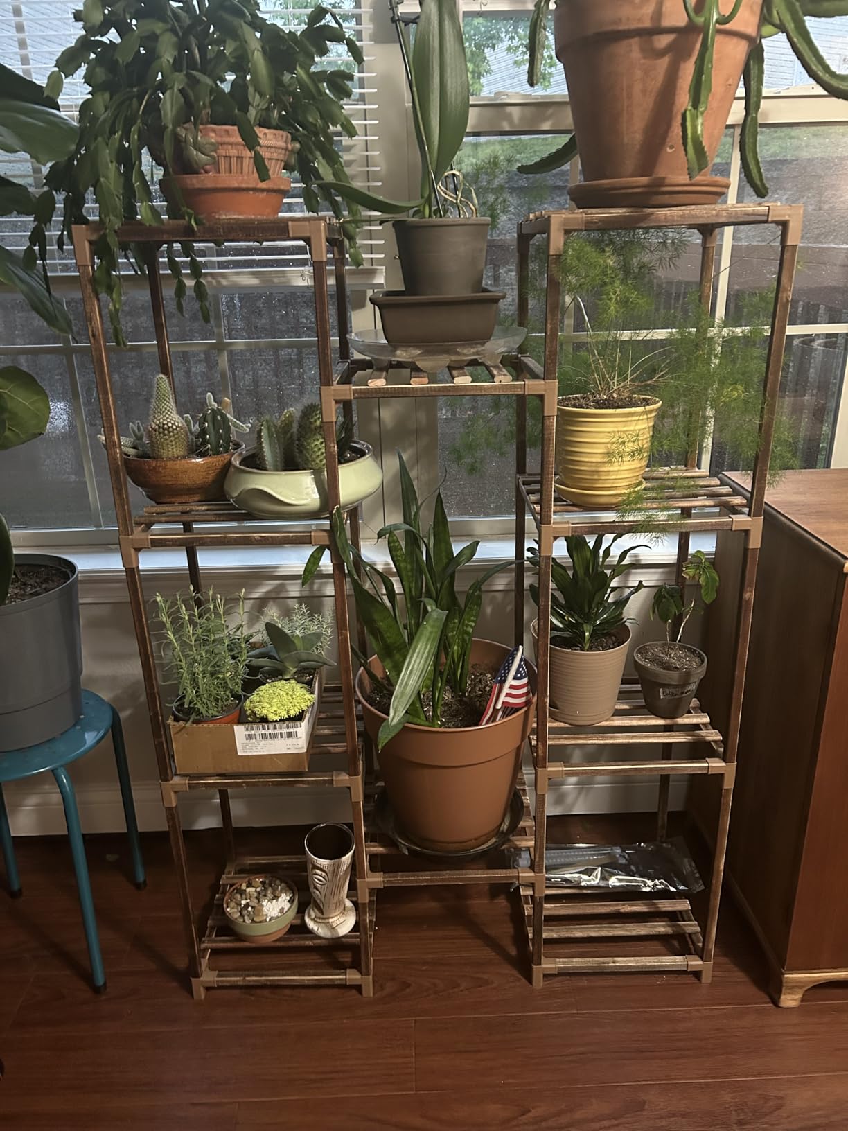 Bamworld Plant Stand with Grow Light Plant Shelf for Mutiple Pots Large Plant Holder for Living Room Patio Boho Home Decor for Gardening Warm Light customer photo 1