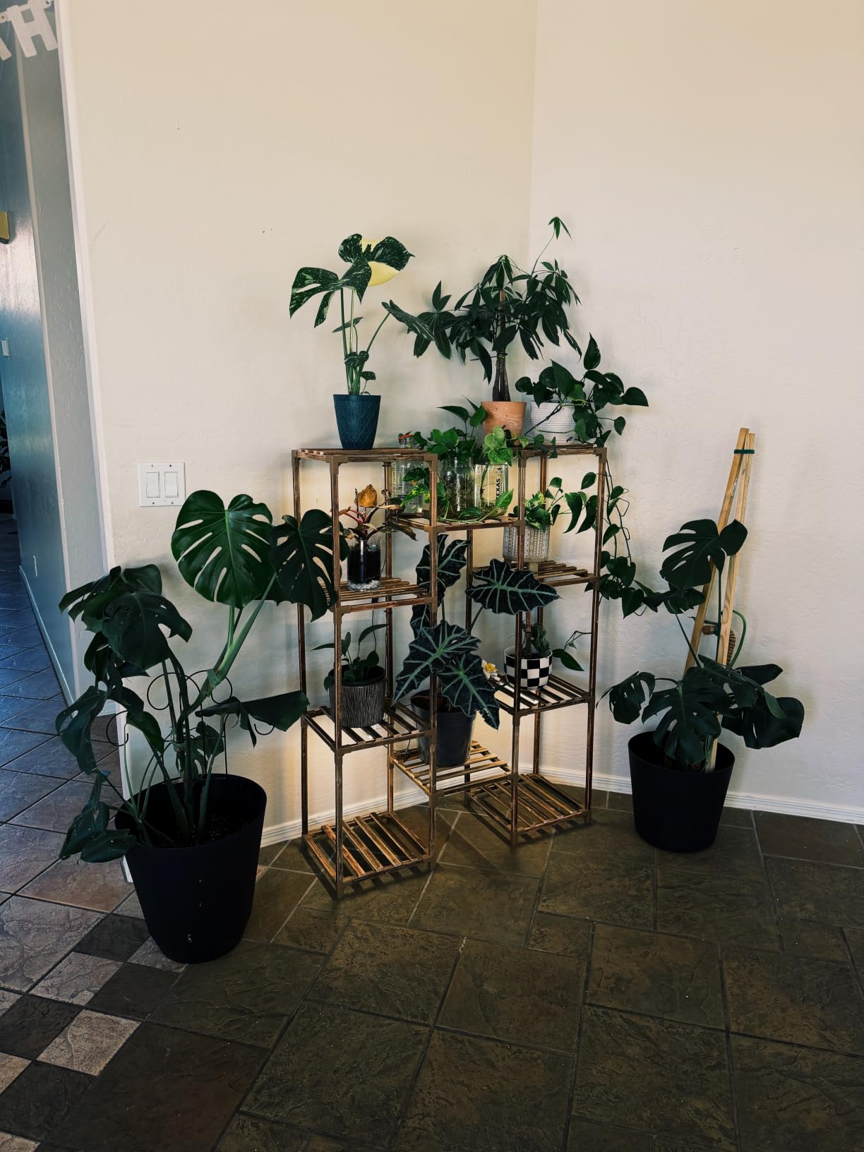 Bamworld Plant Stand with Grow Light Plant Shelf for Mutiple Pots Large Plant Holder for Living Room Patio Boho Home Decor for Gardening Warm Light customer photo 2