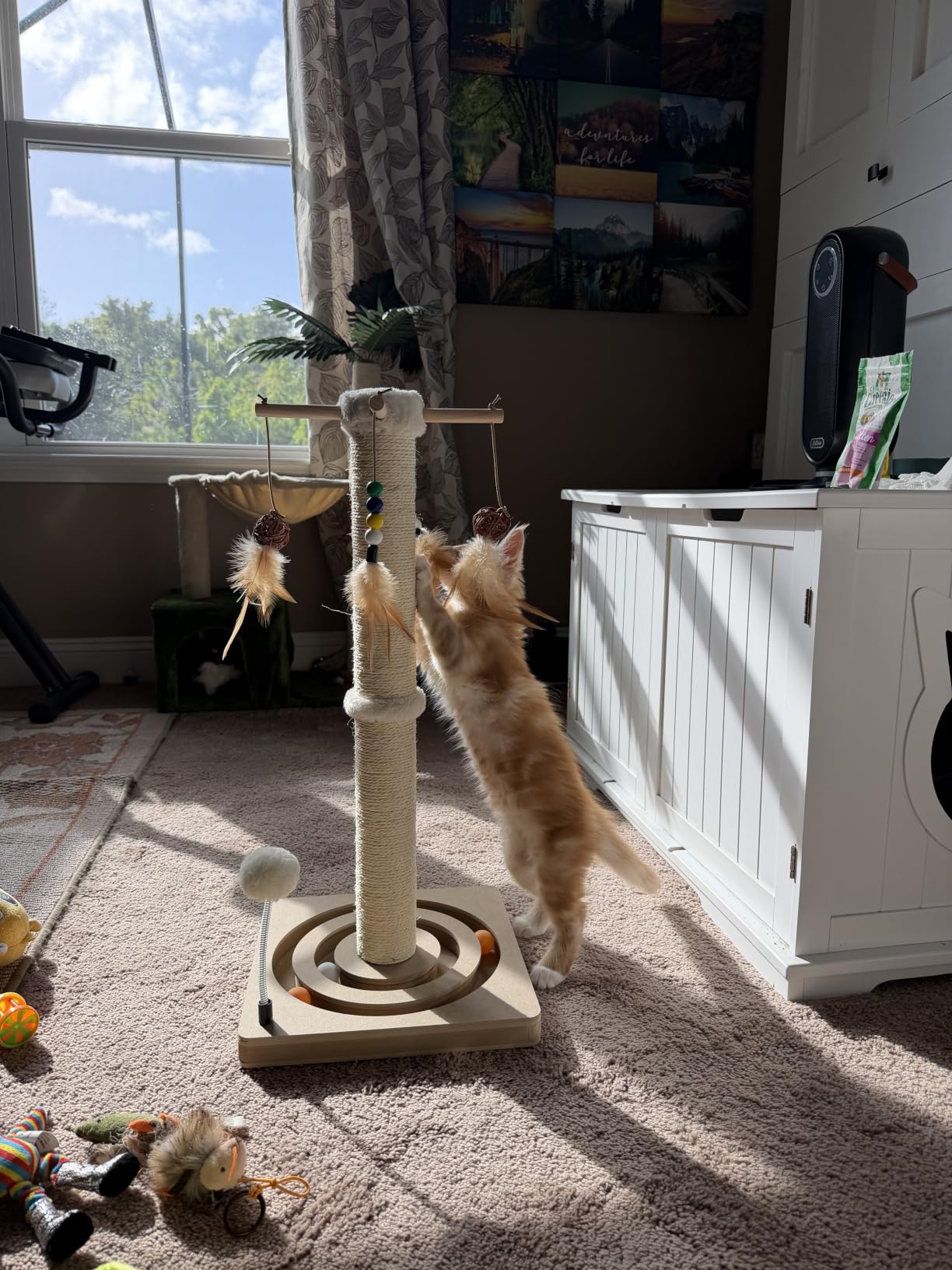 Cat Scratching Post, Sisal Scratcher with Enrichment Toys for Indoor Cats customer photo 1