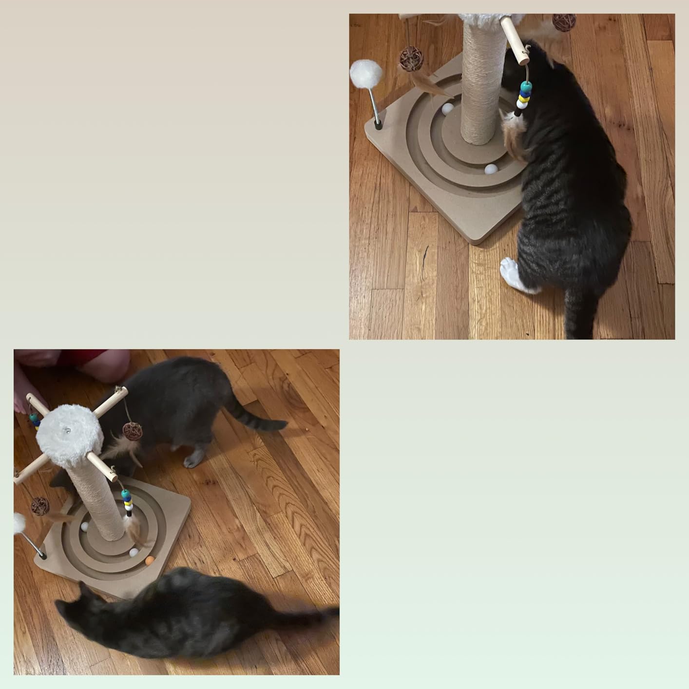 Cat Scratching Post, Sisal Scratcher with Enrichment Toys for Indoor Cats customer photo 2