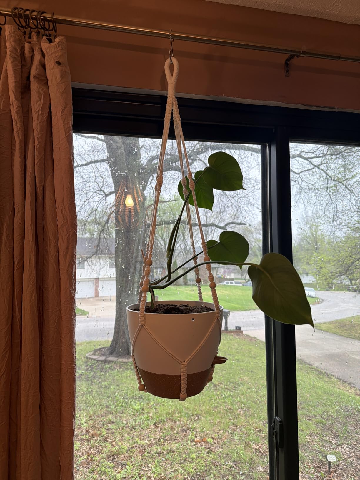 10 Inch Self Watering Hanging Planters for Indoor Outdoor Plants, 2 Pack customer photo 1