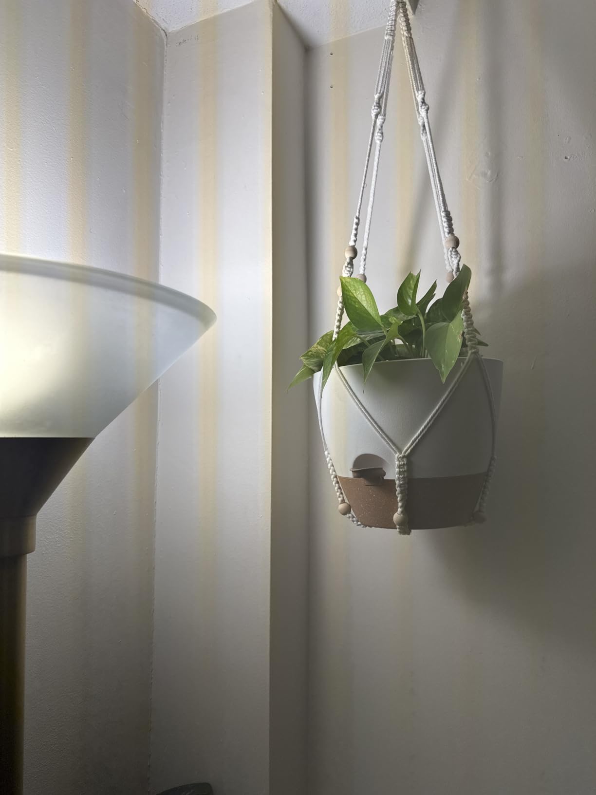 10 Inch Self Watering Hanging Planters for Indoor Outdoor Plants, 2 Pack customer photo 2