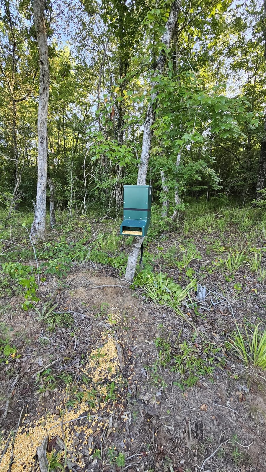 Automatic Metal Deer Feeder 10 Gallon customer photo 1