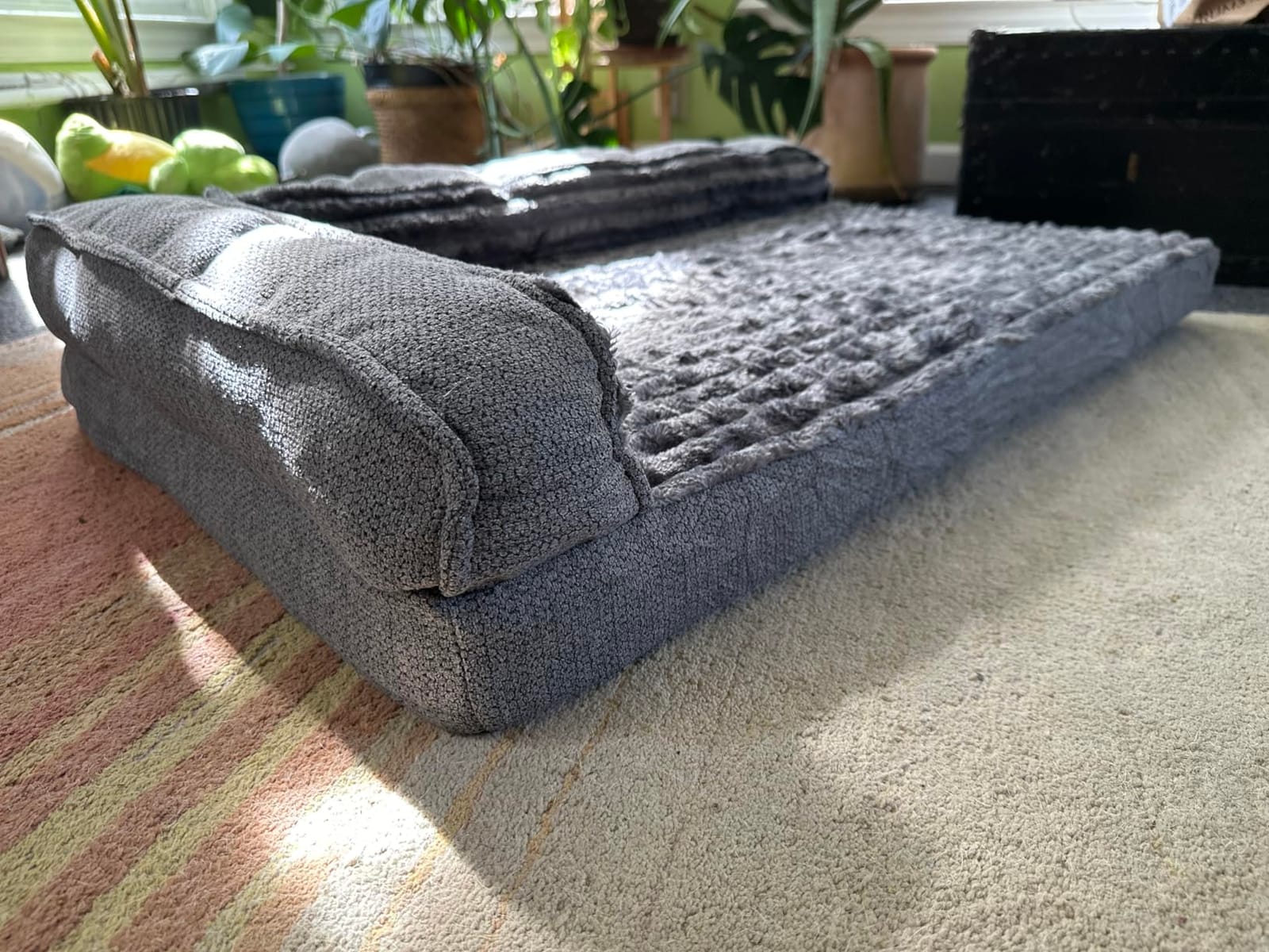 WINDRACING Orthopedic Dog Beds for Medium Dogs, Waterproof Egg Foam Dog Sofa Bed with L Bolster Sides, Washable Medium Pet Bed with Removable Cover & Non-Slip Bottom, 36 x 23 inch, Gray customer photo 2