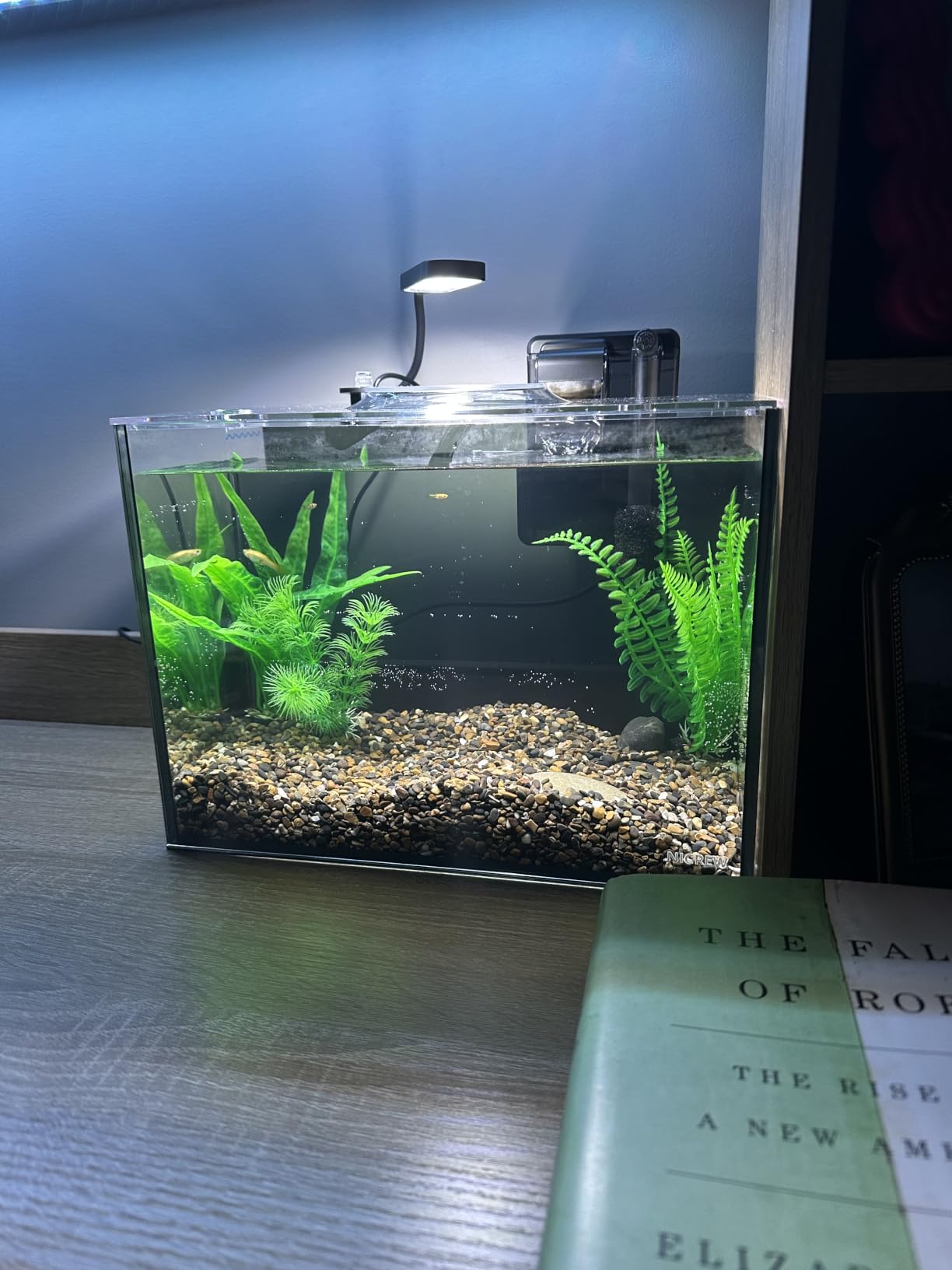 NICREW 2.5 Gallon Nano Nature Aquarium Kit Betta Fish Tank, Basic, Black customer photo 1