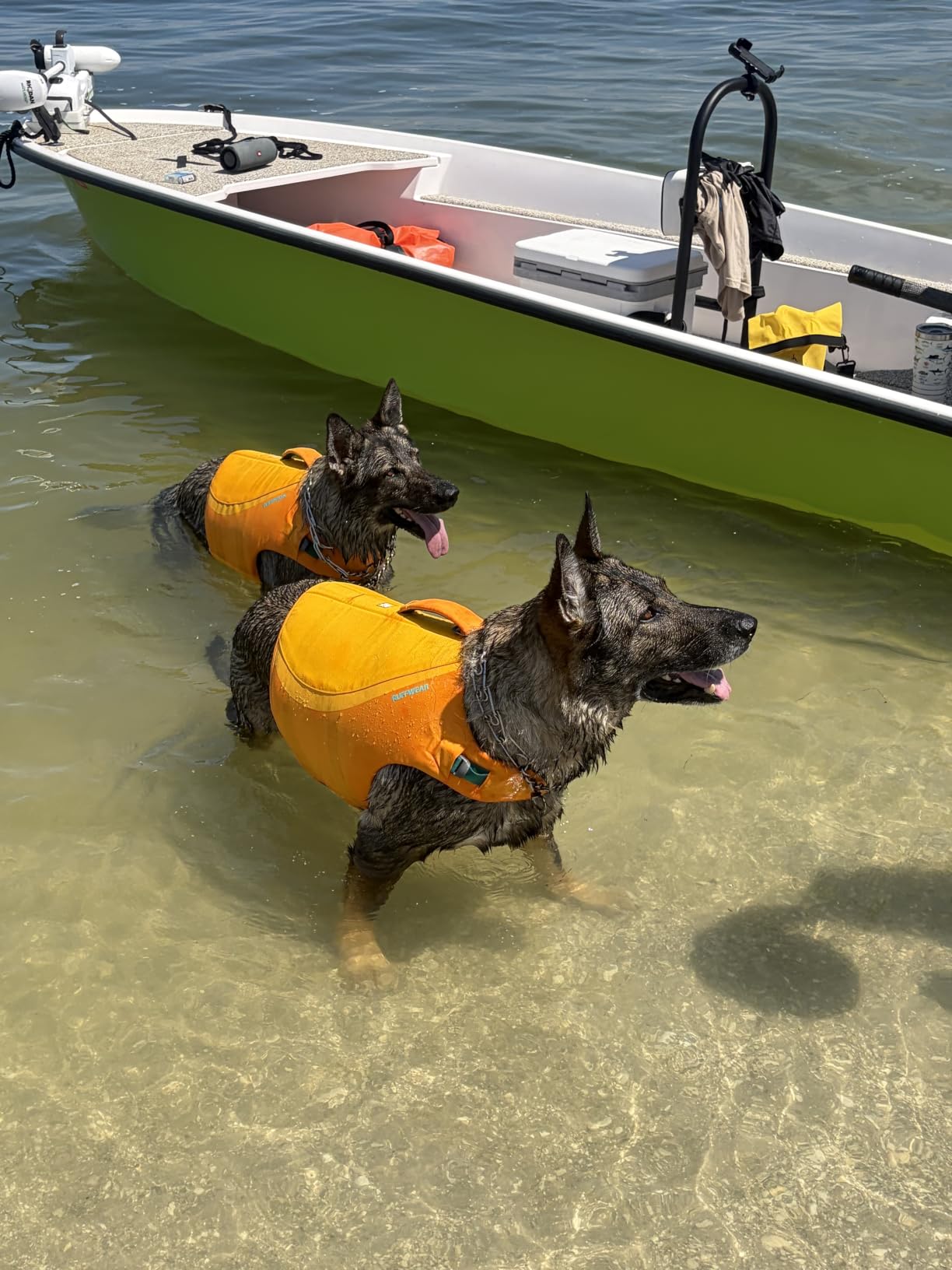 Ruffwear, Float Coat Dog Life Jacket, Swim Vest, Deep Blue, Medium customer photo 2