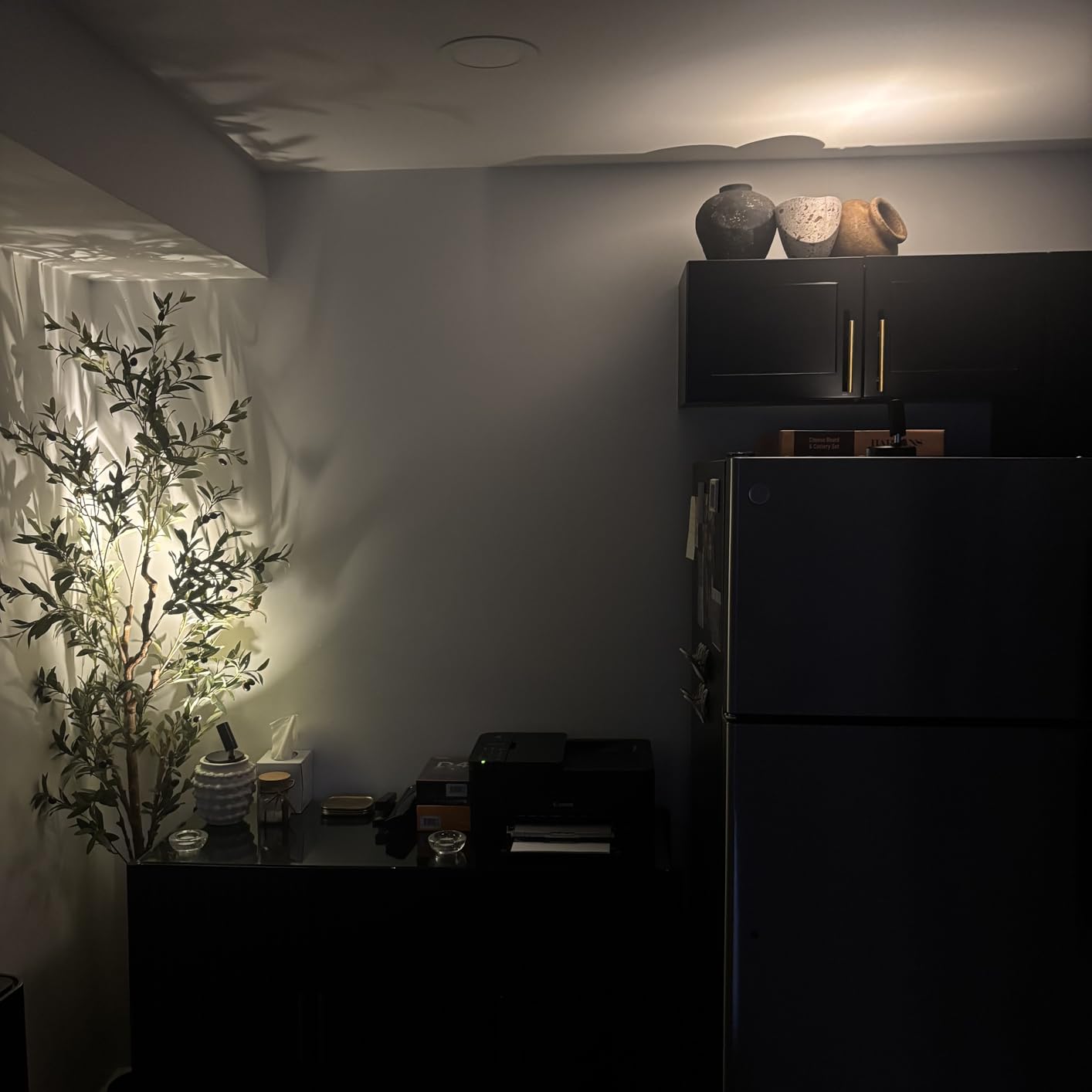 EZVALO Indoor Spotlights, Picture Lights for Wall, Plant Uplights customer photo 2