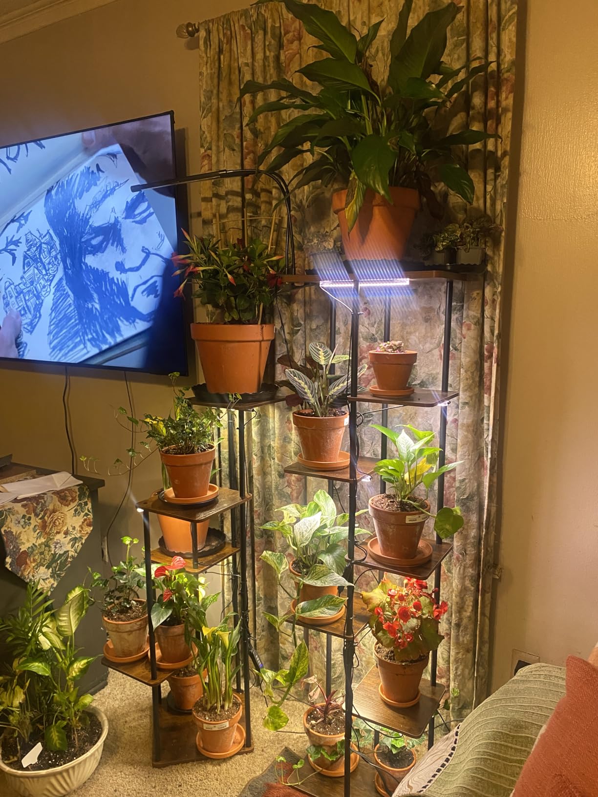 Bamworld Tall Plant Stand Indoor Corner Plant Shelf for Multiple Plants customer photo 1