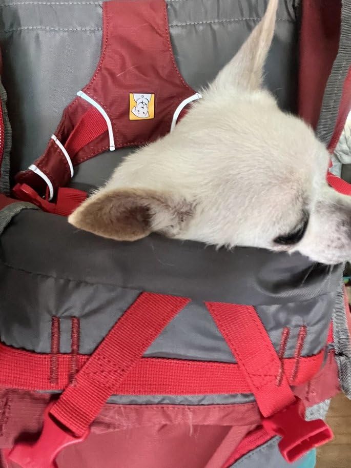 Ruffwear, Hitch Hiker Dog Backpack Carrier, River Rock Green, Small customer photo 2