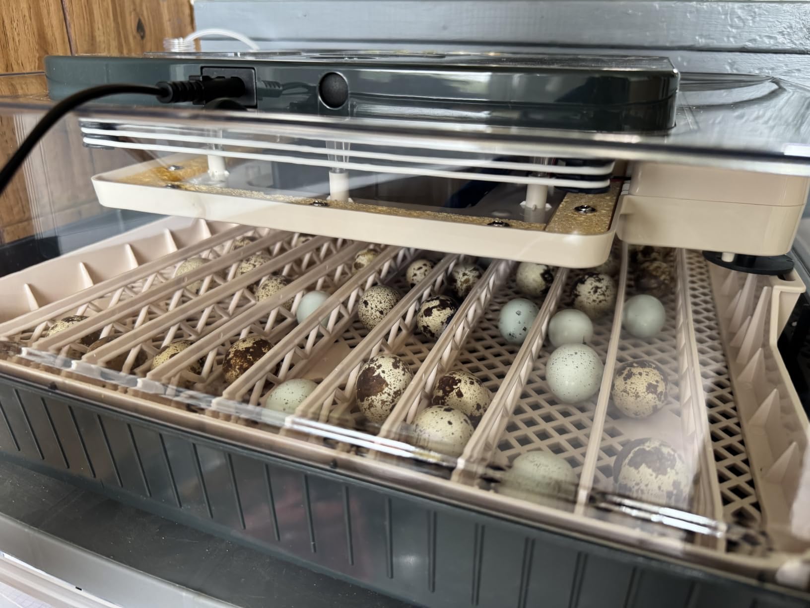 Sailnovo 56 Egg Incubator for Hatching Eggs with Automatic Egg Turning Gray customer photo 1