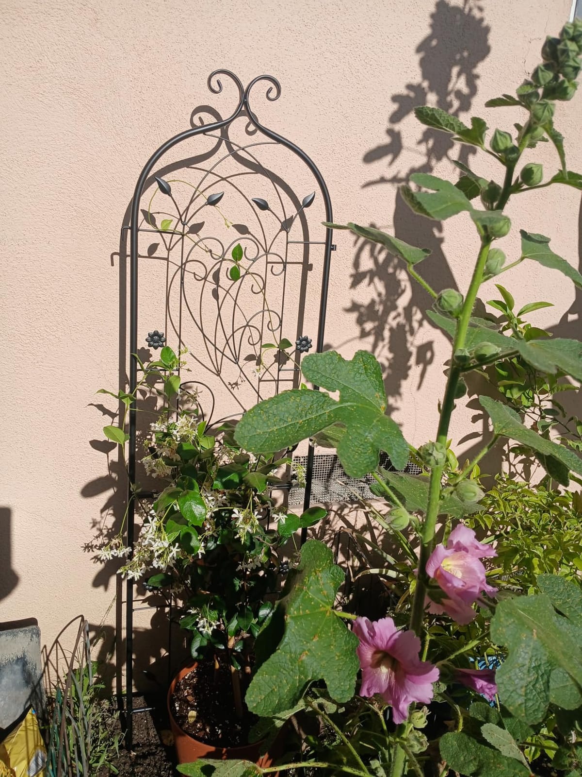VEVOR 60 x 15 in, Rustproof Metal Garden Flower Trellis, Outdoor Climbing Rose & Cucumber Support, Decorative Tall Clematis Trellis for Courtyards & Lawns customer photo 1
