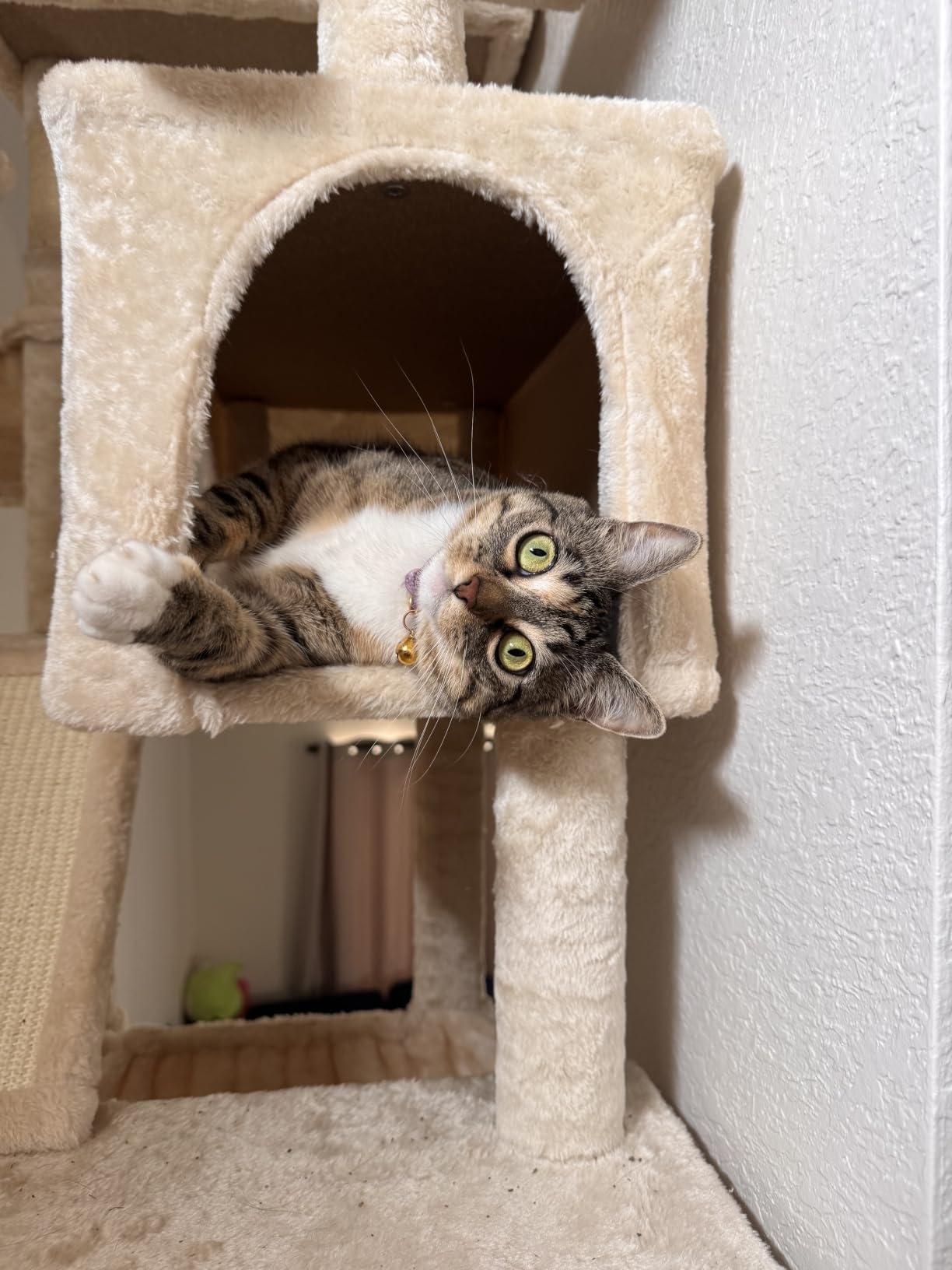 SHA CERLIN 81in Multi-Level Tall Cat Tree Tower for Indoor Kitties/Larger Cat Condo Furniture with Hammock/Cozy Pussycat Perches/Sisal Scratching Posts/Pet House/Wide Base/Dark Grey customer photo 1