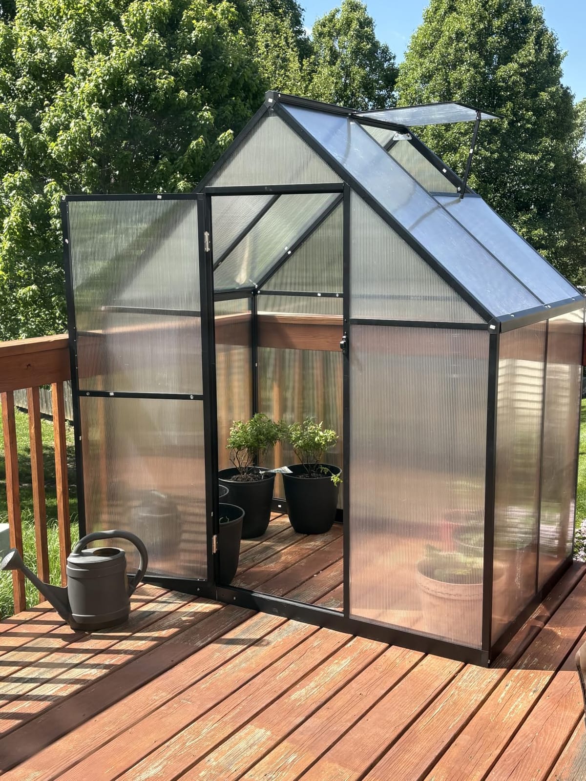 5.5X4FT Greenhouse with Thermometers, Small Greenhouse for Outdoors customer photo 1