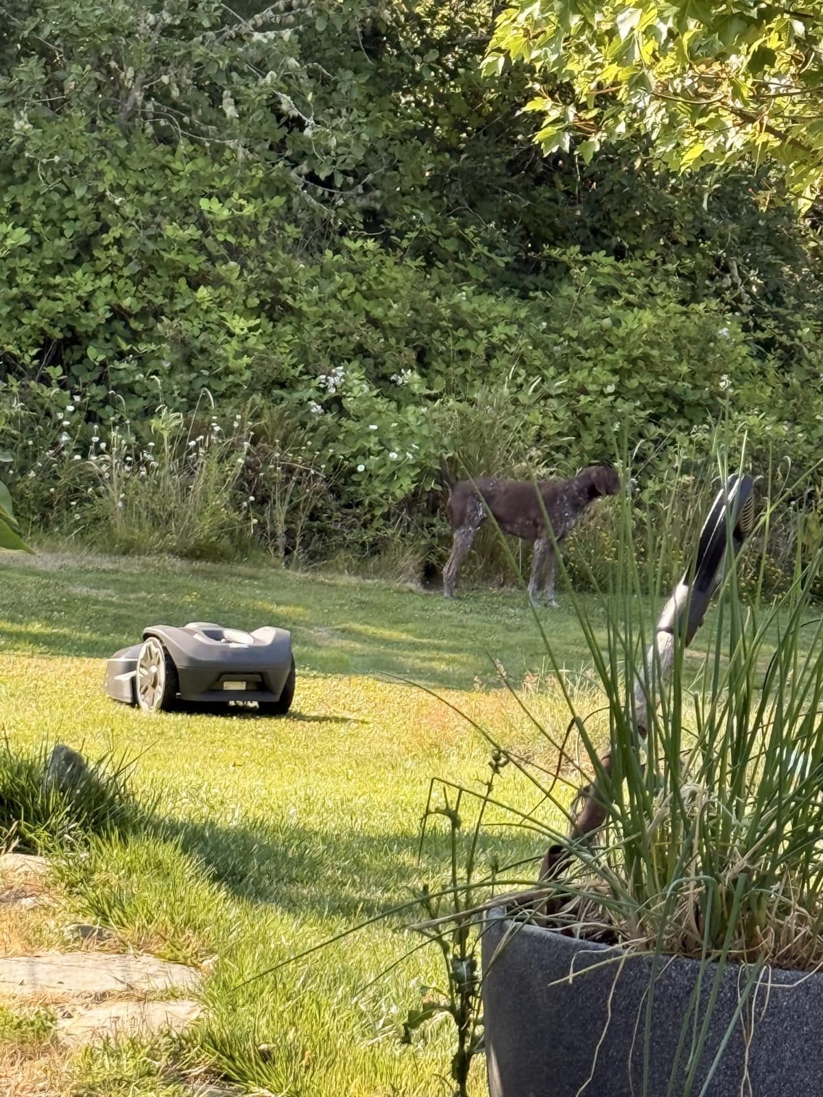 Husqvarna 410iQ ½ Acre Wire-Free, 45% Slope, app Based, Robot Lawn Mower customer photo 2