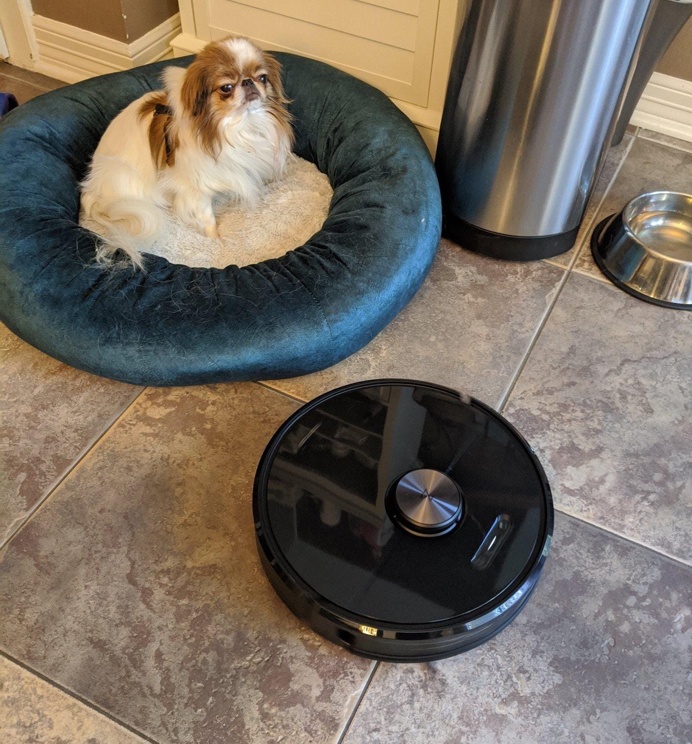 roborock Q10 S5+ Robot Vacuum and Mop, 10,000Pa Suction customer photo 1