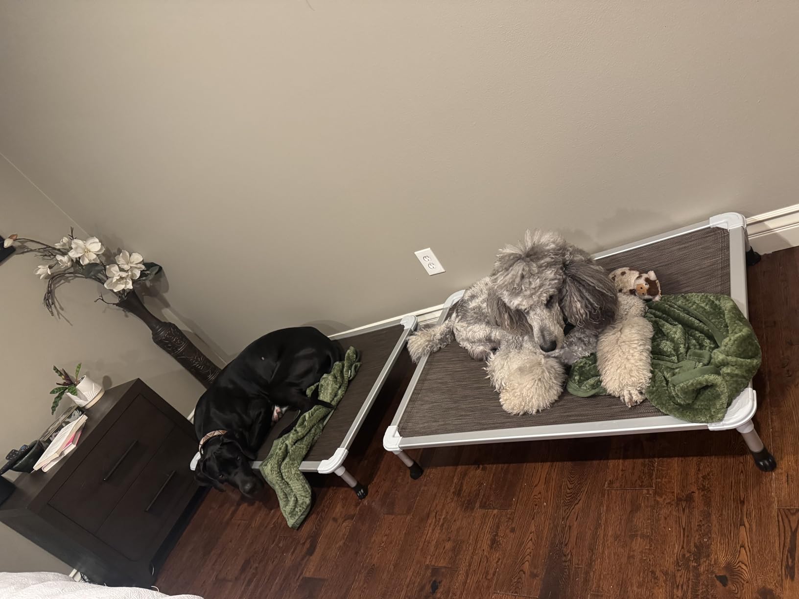 Veehoo Chew Proof Elevated Dog Bed, Cooling Raised Pet Cot, Silver Aluminum customer photo 2