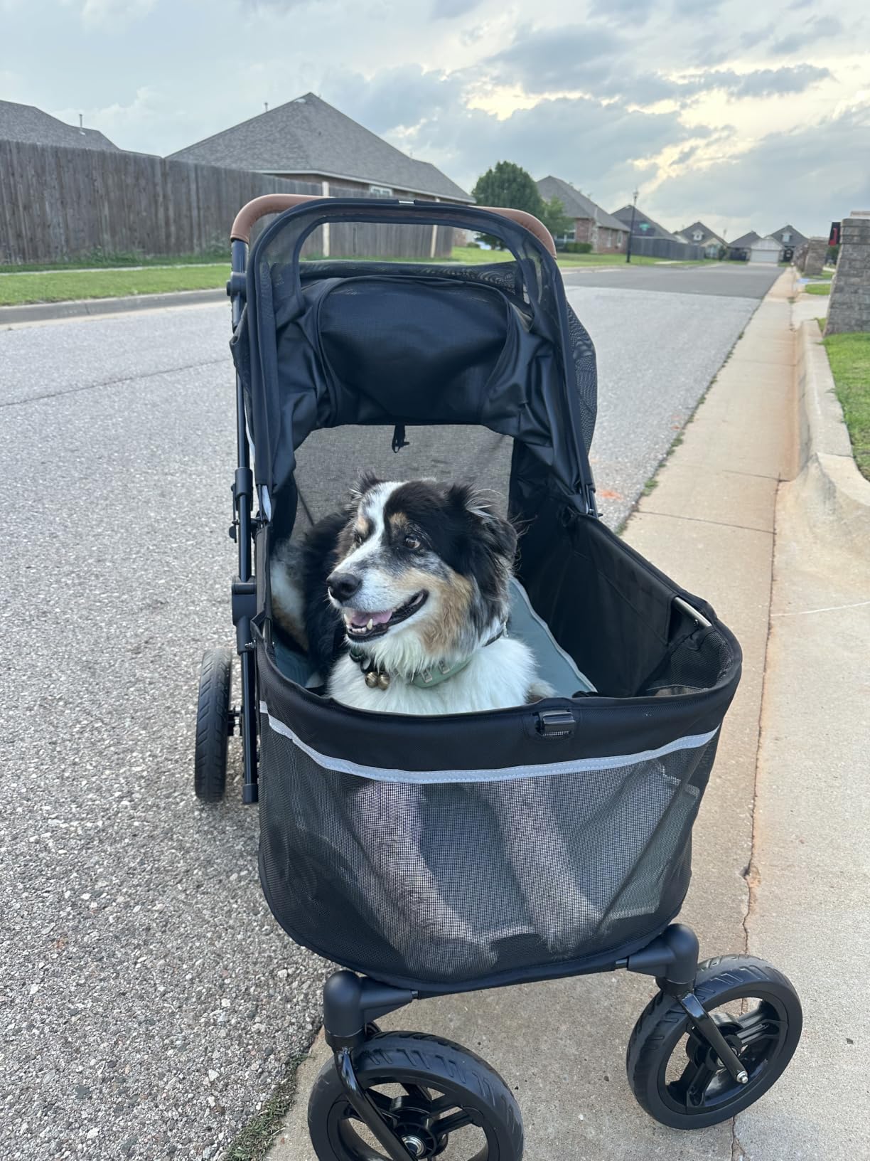Zoosky Pet Stroller for Large Dogs up to 110lbs, Large Pet Stroller customer photo 1