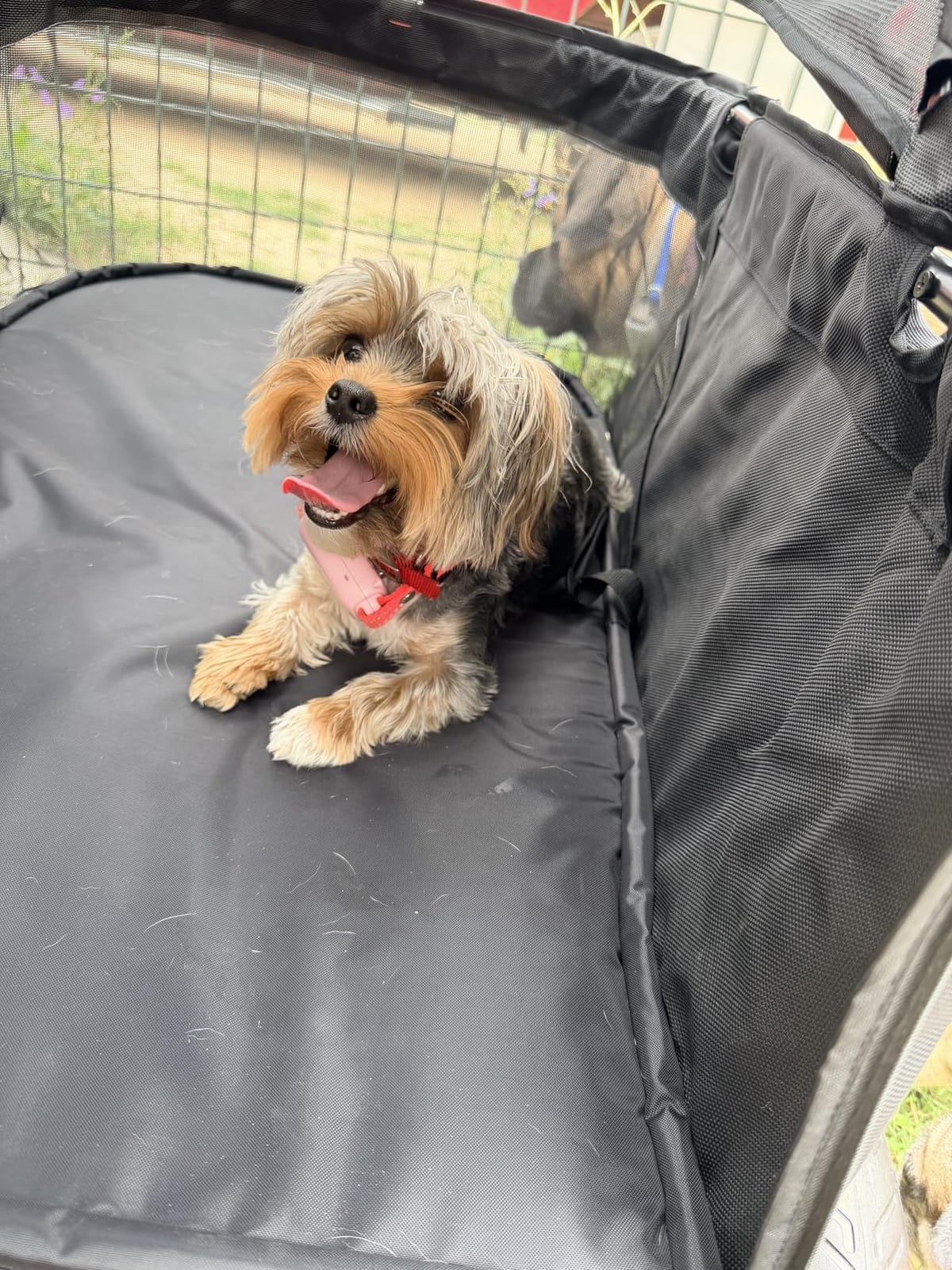 Zoosky Pet Stroller for Large Dogs up to 110lbs, Large Pet Stroller customer photo 2