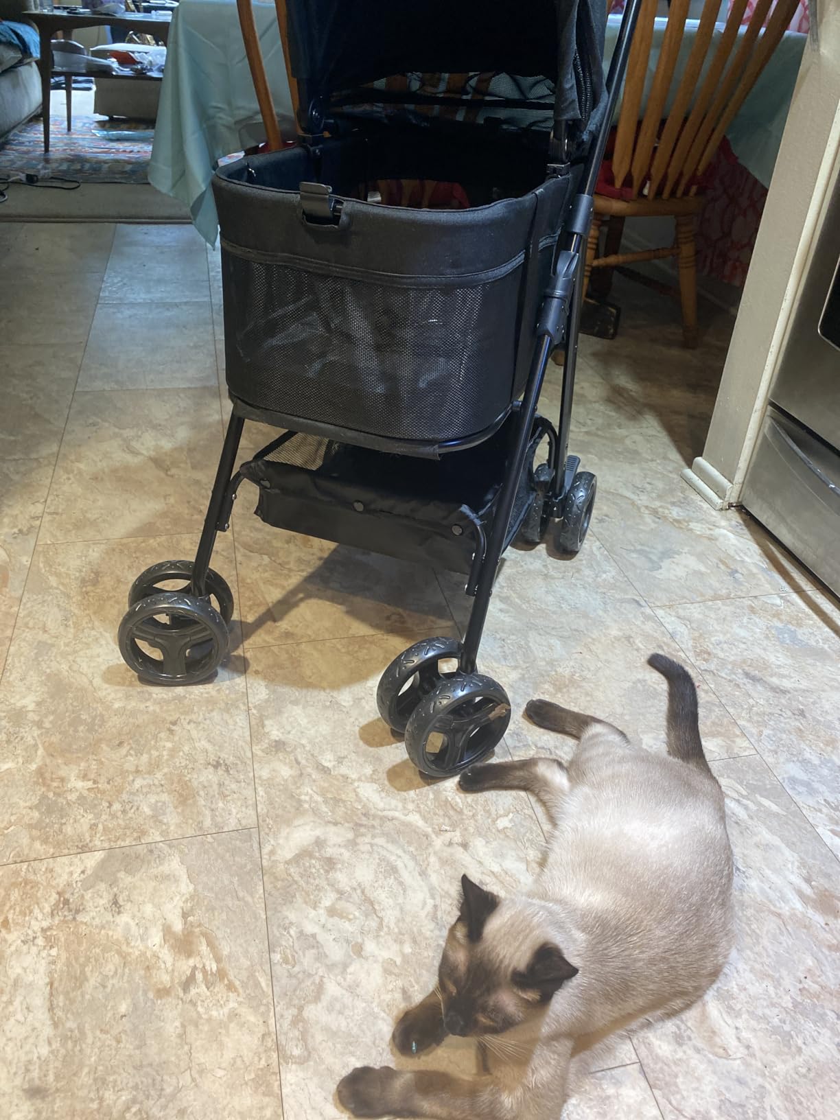 Zoosky 3 in 1 Dog Stroller, Folding Pet Stroller w/Removable Carrier | Small/Medium Dogs and Cats, Waterproof, All-Terrain & 2 Sun Shades, Car Seat, 360° Breathable Mesh customer photo 1